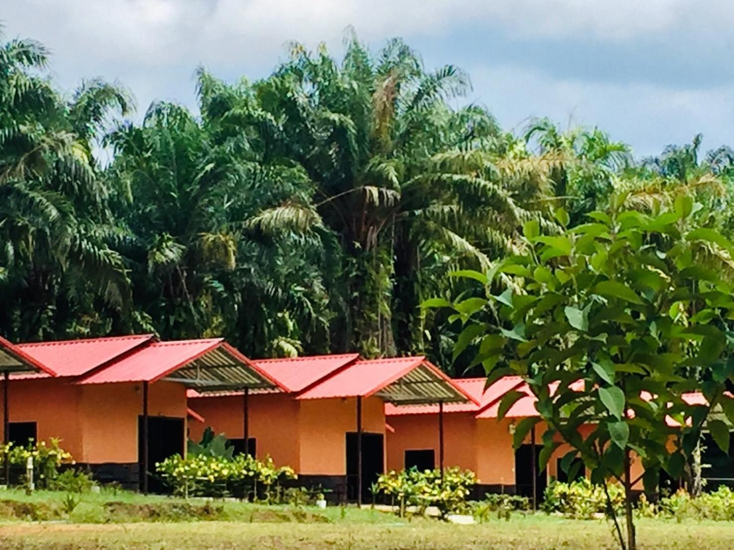 Khao Sok Evergreen House