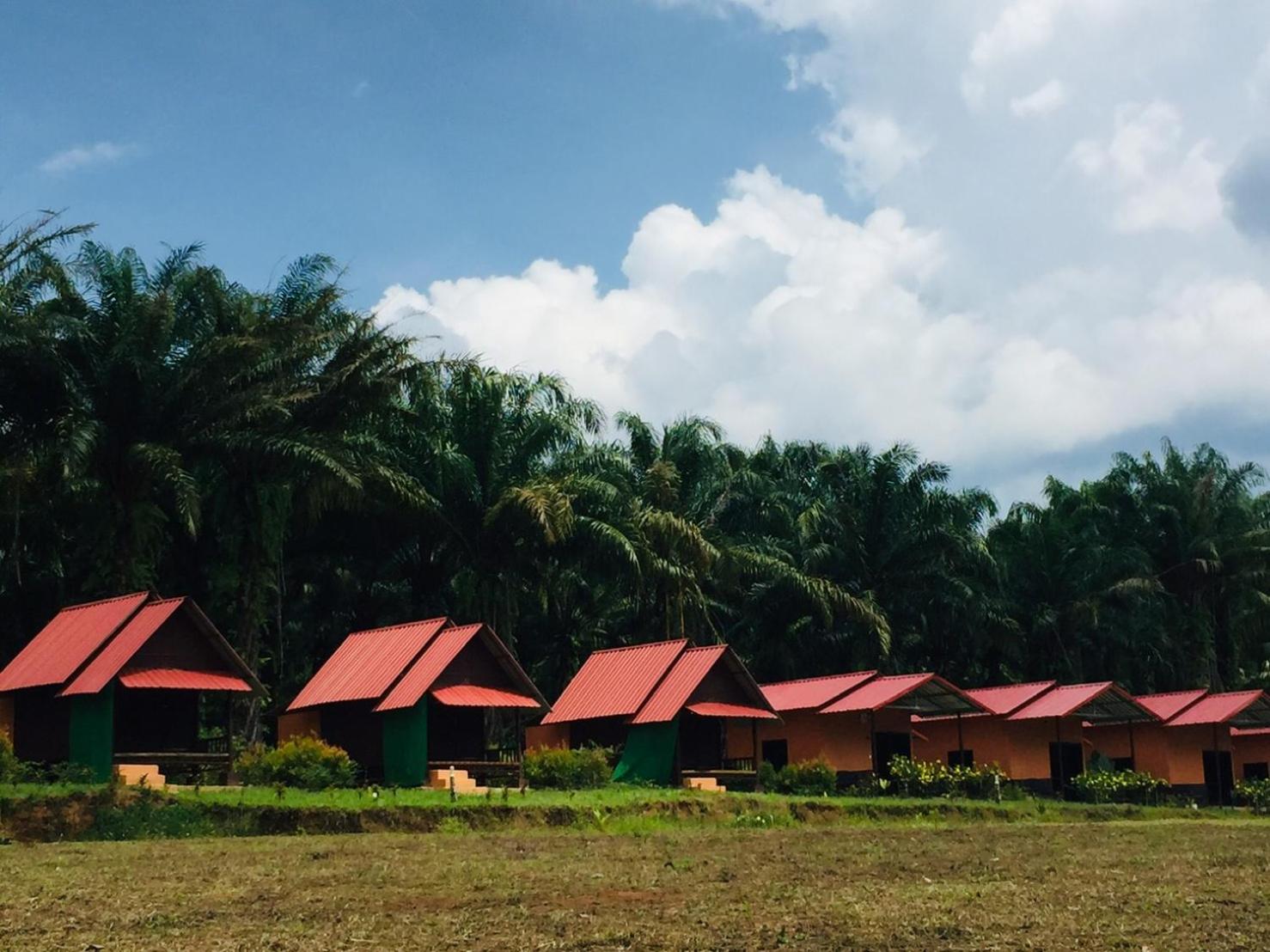 Khao Sok Evergreen House