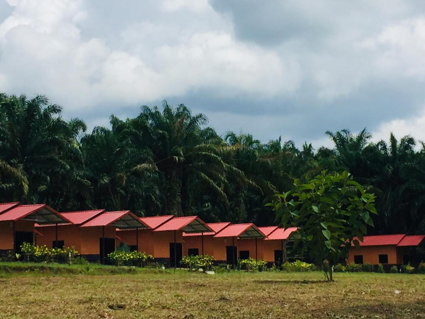Khao Sok Evergreen House
