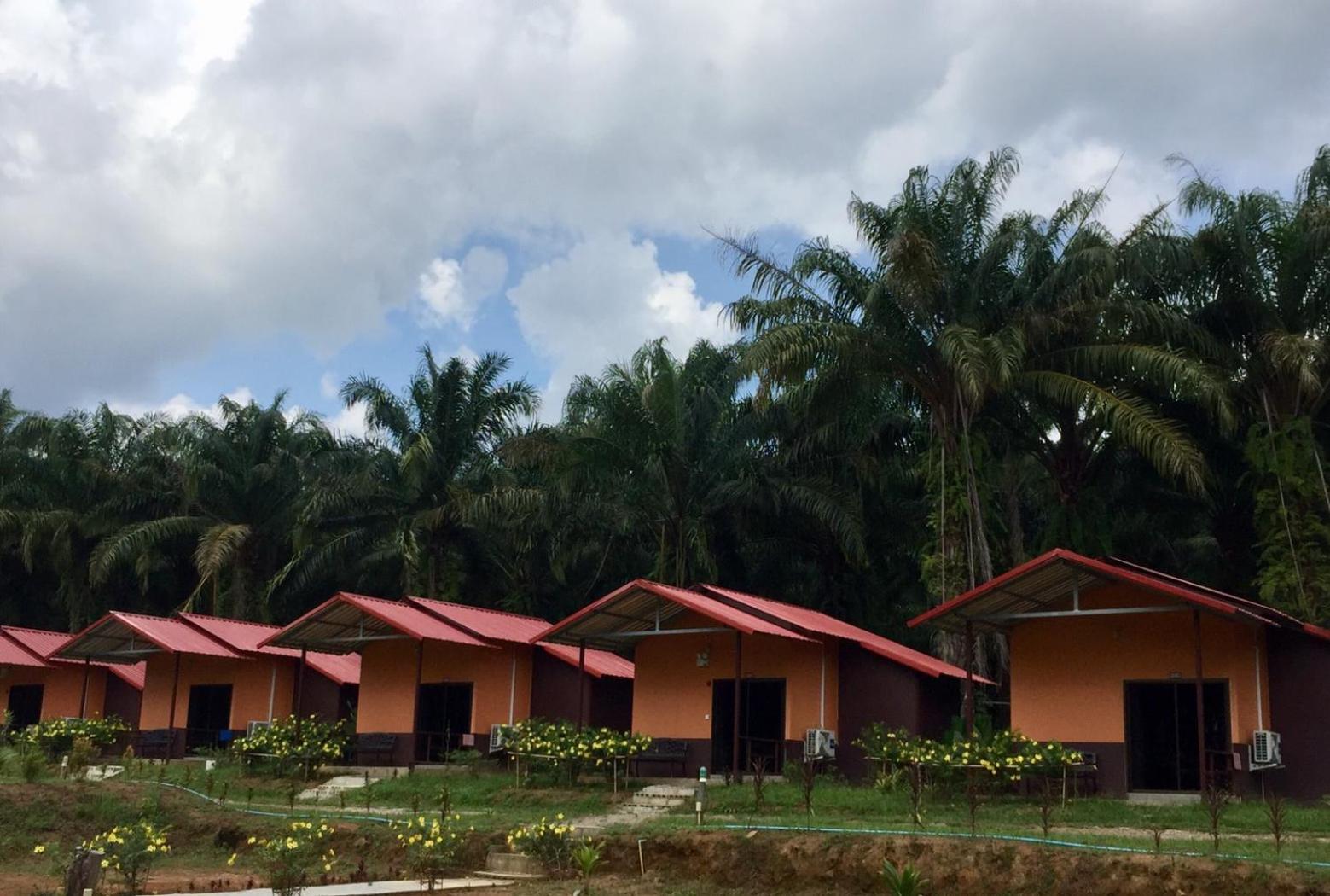 Khao Sok Evergreen House