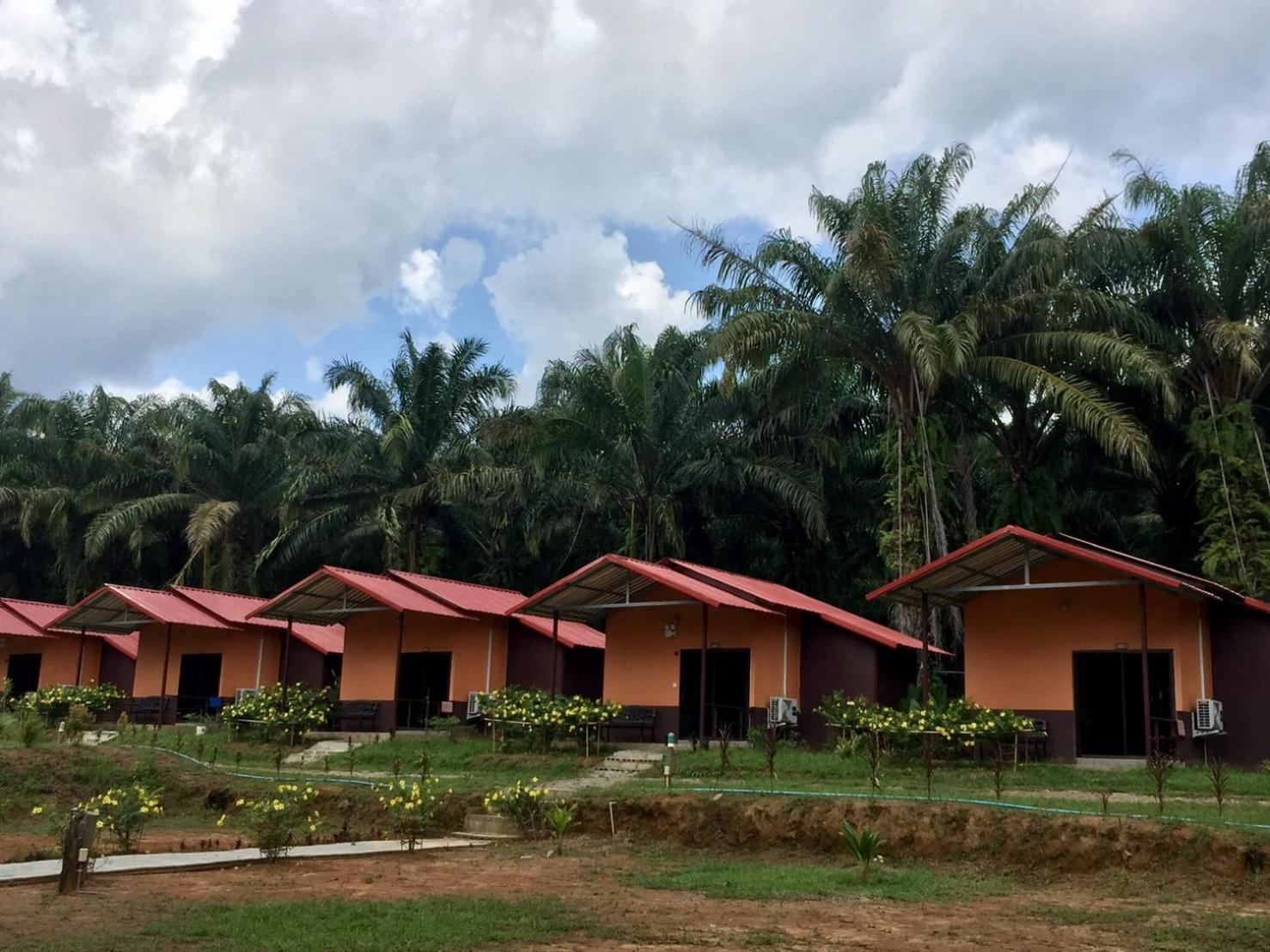 Khao Sok Evergreen House