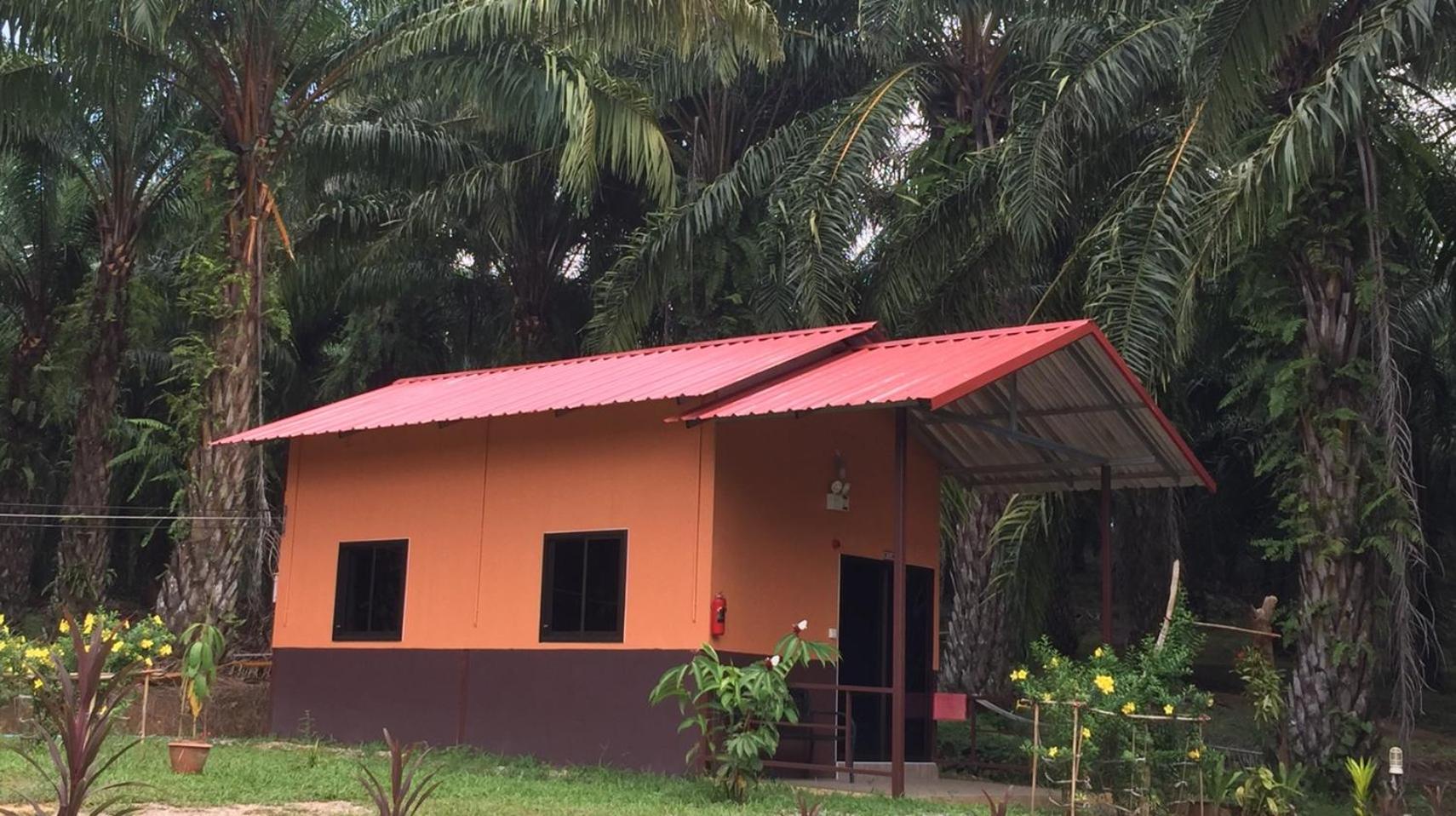 Khao Sok Evergreen House