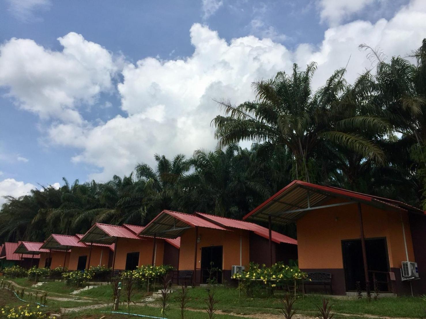 Khao Sok Evergreen House