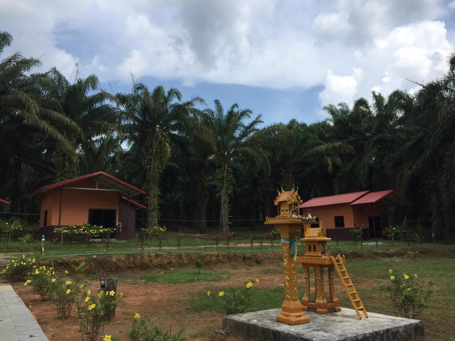 Khao Sok Evergreen House