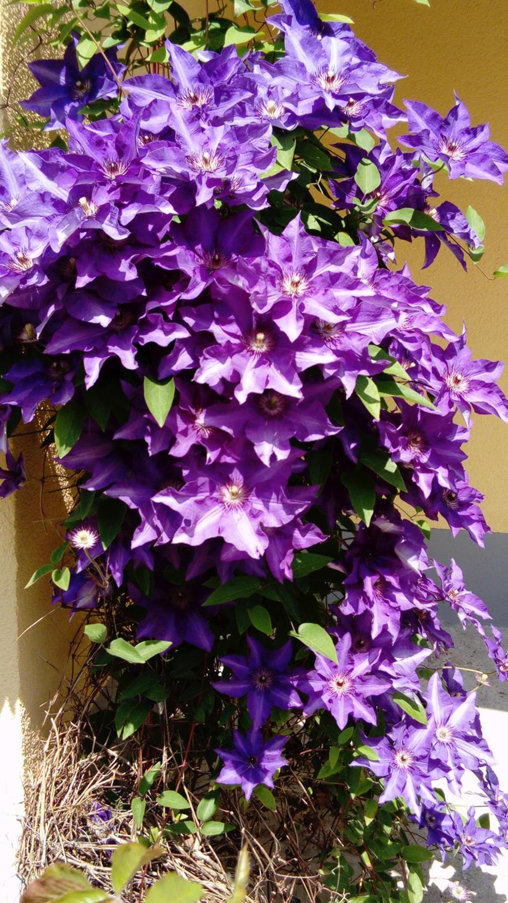 Photo 40