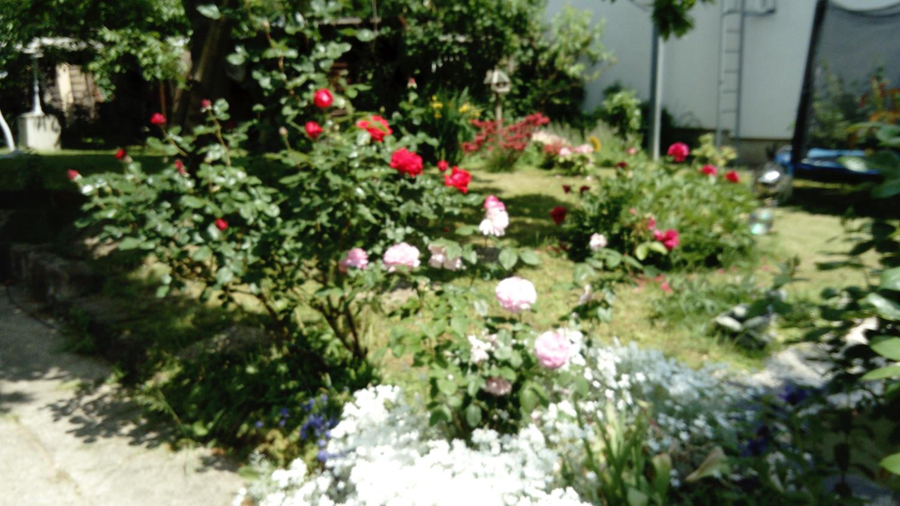 Photo 39