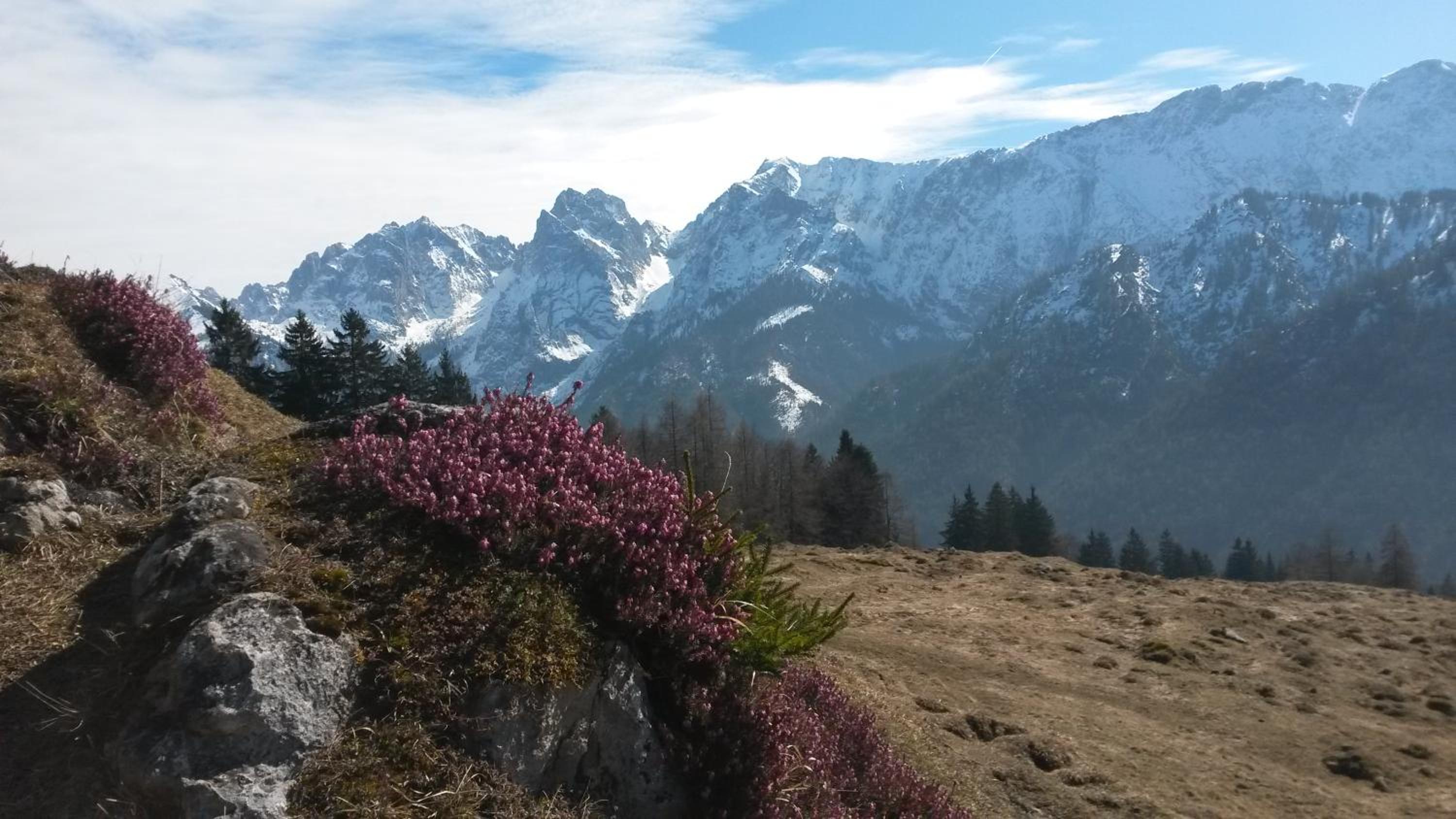 Haus TIROL