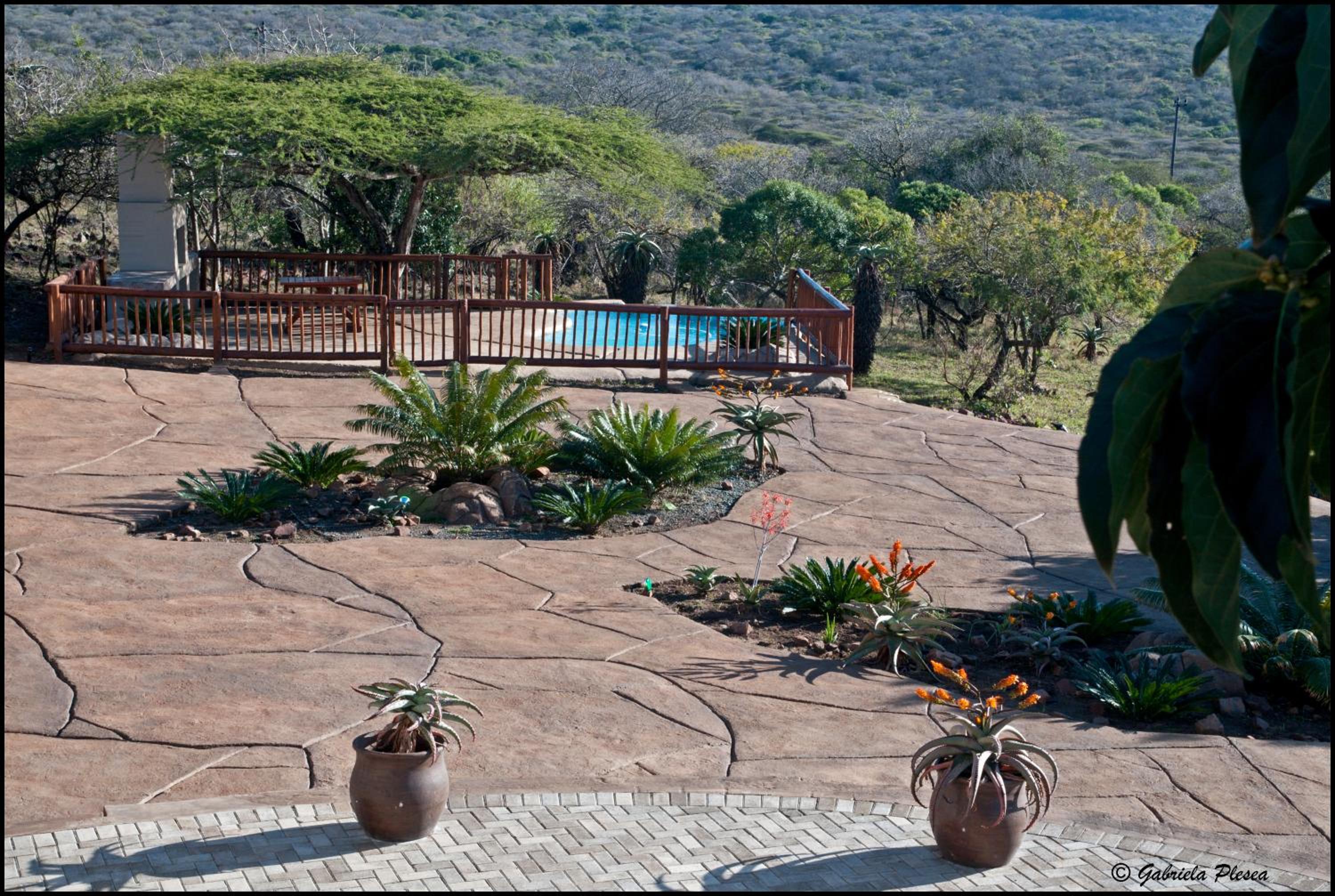 Hluhluwe Vacations - Aloe View Rock Lodge - Property Image 5