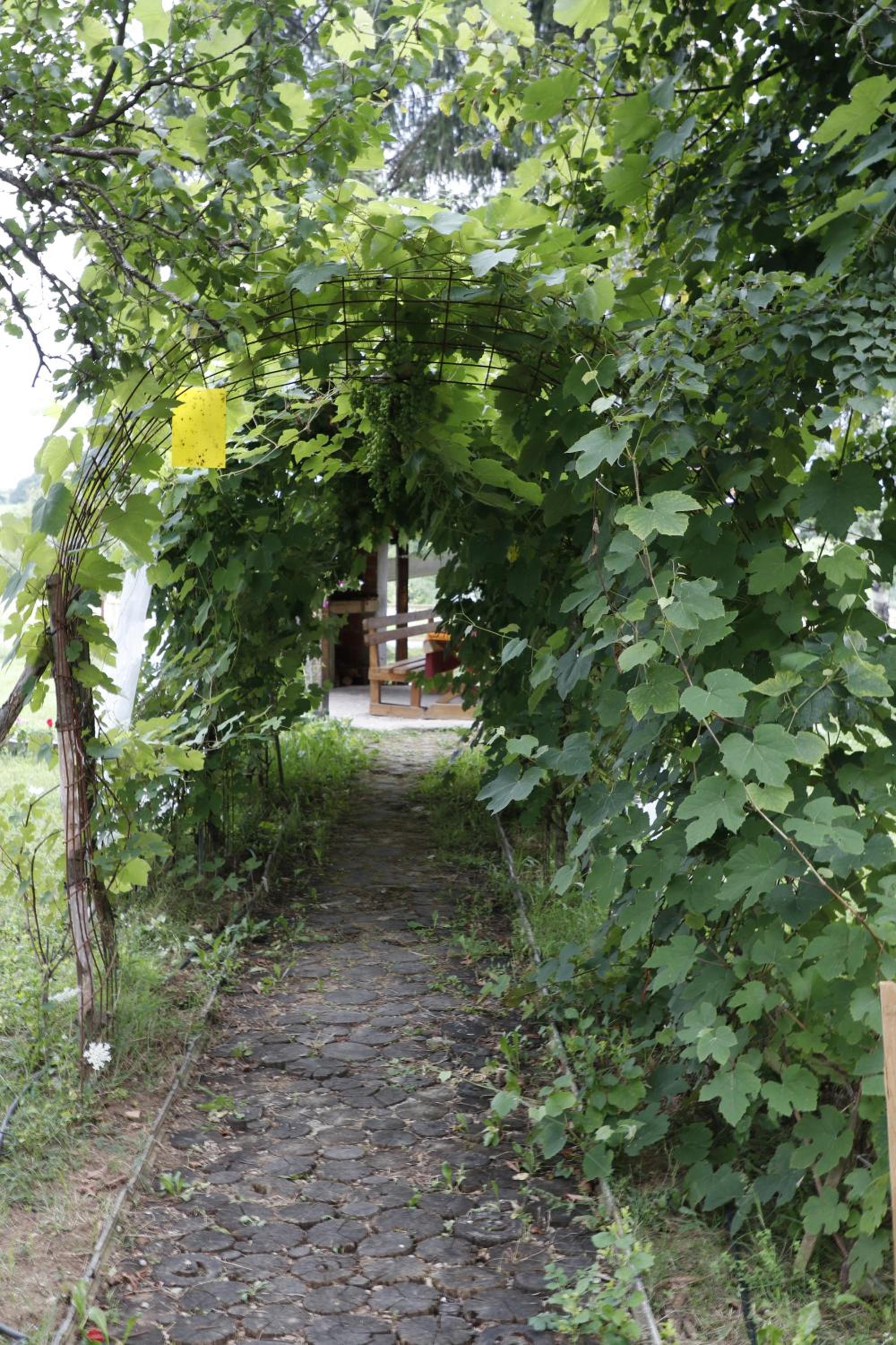 Photo 20