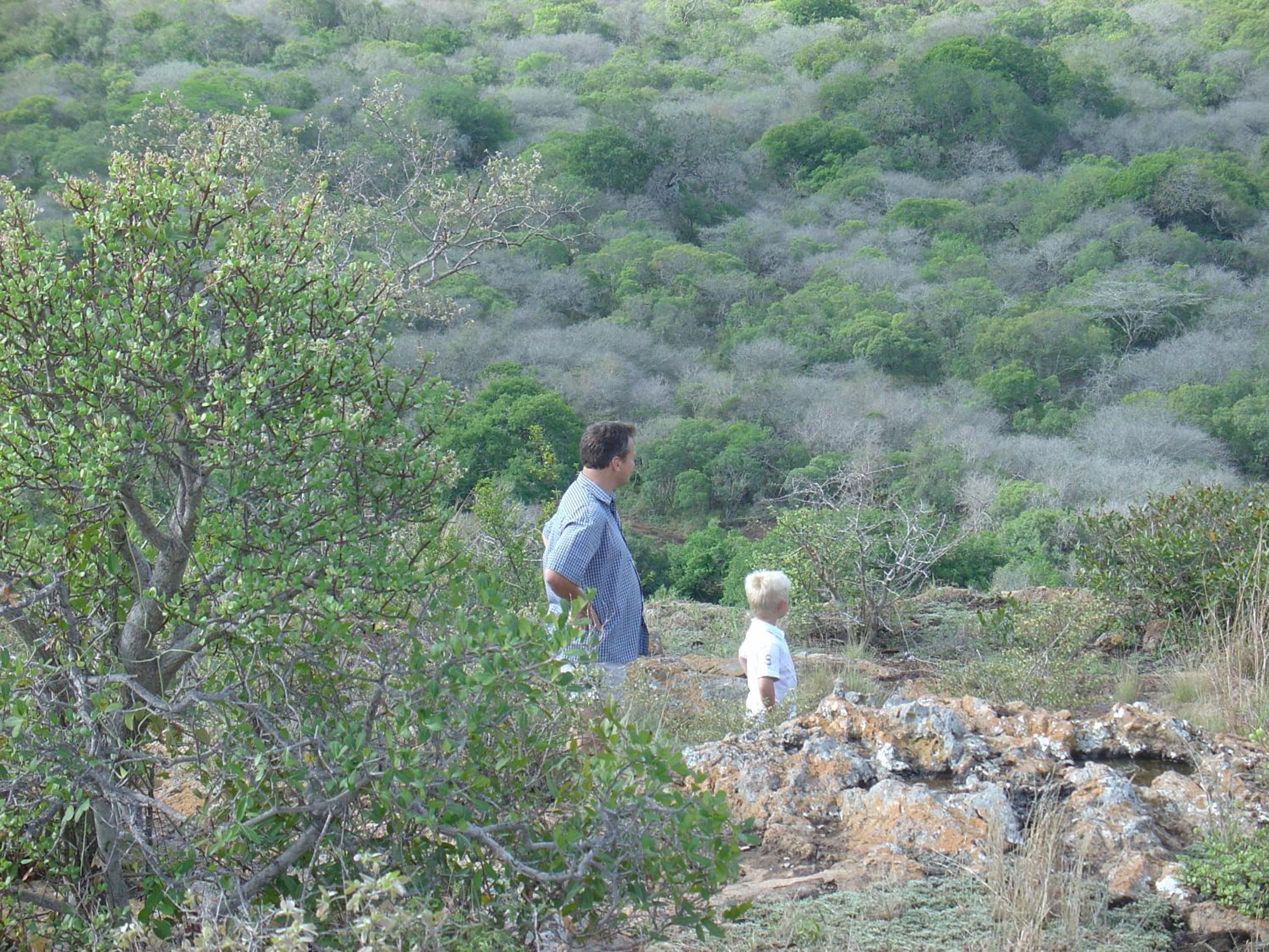 Hluhluwe Vacations - Aloe View Rock Lodge - Property Image 2