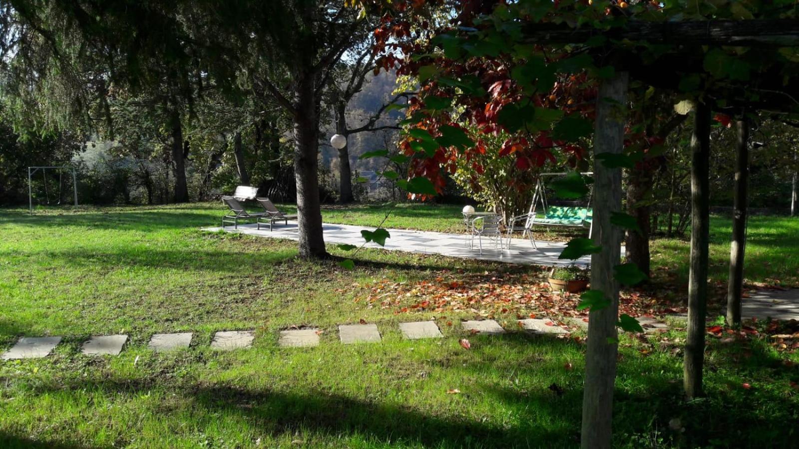 Photo 42