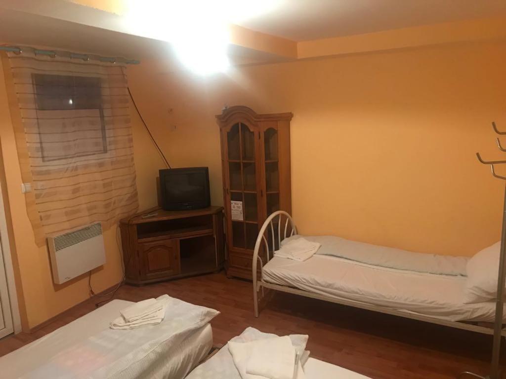 Casa albastră, photo 17