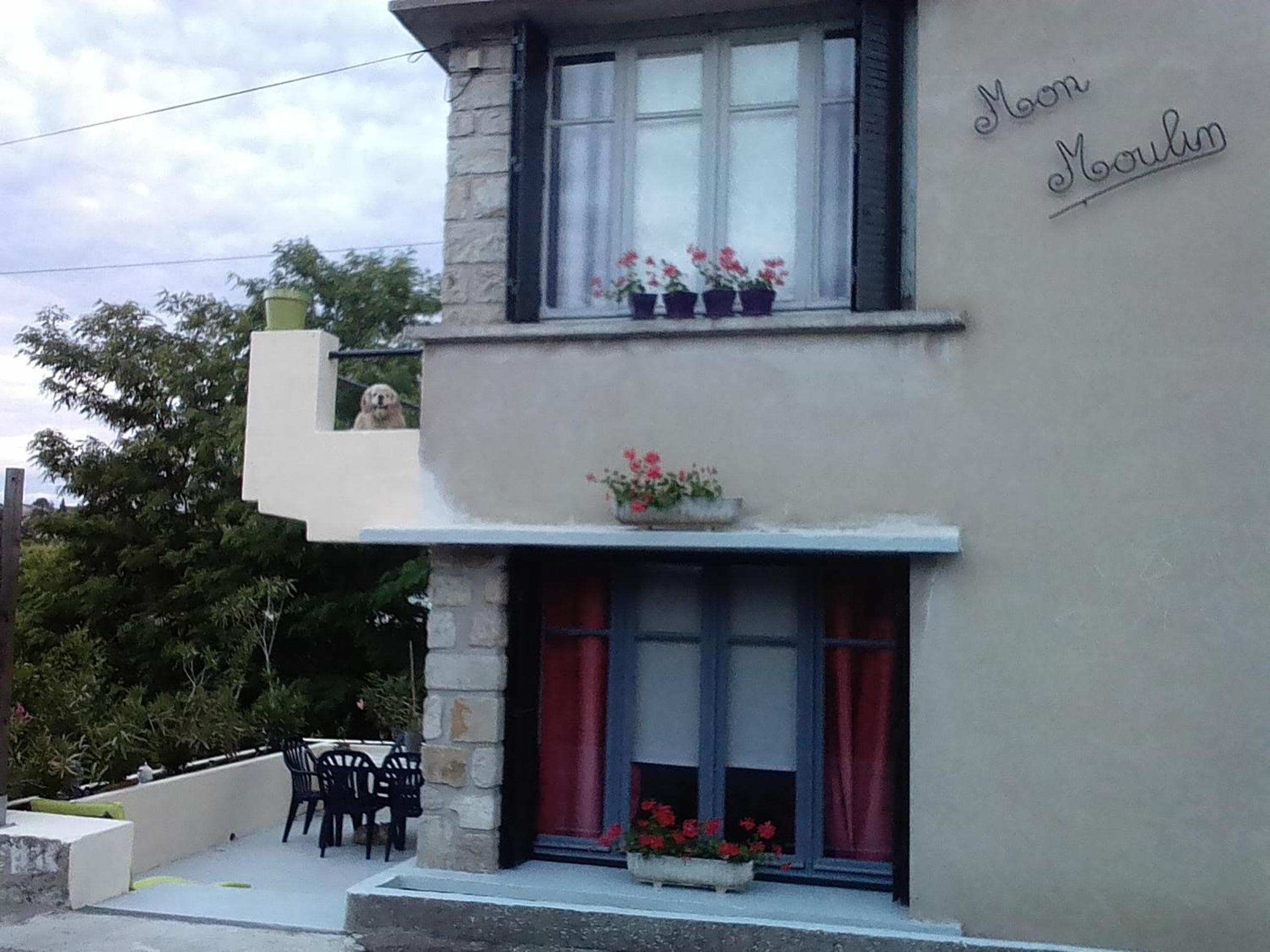 Photo 12