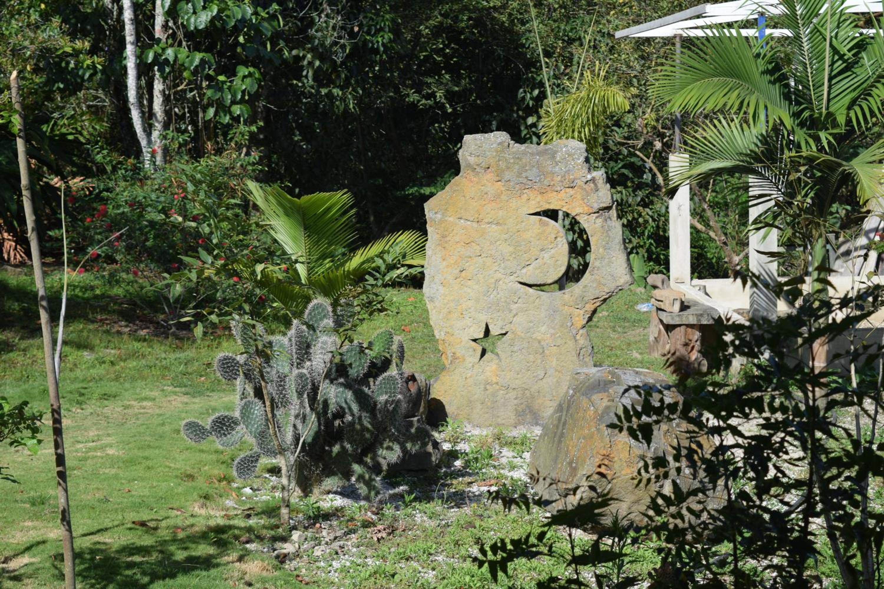 Photo 36