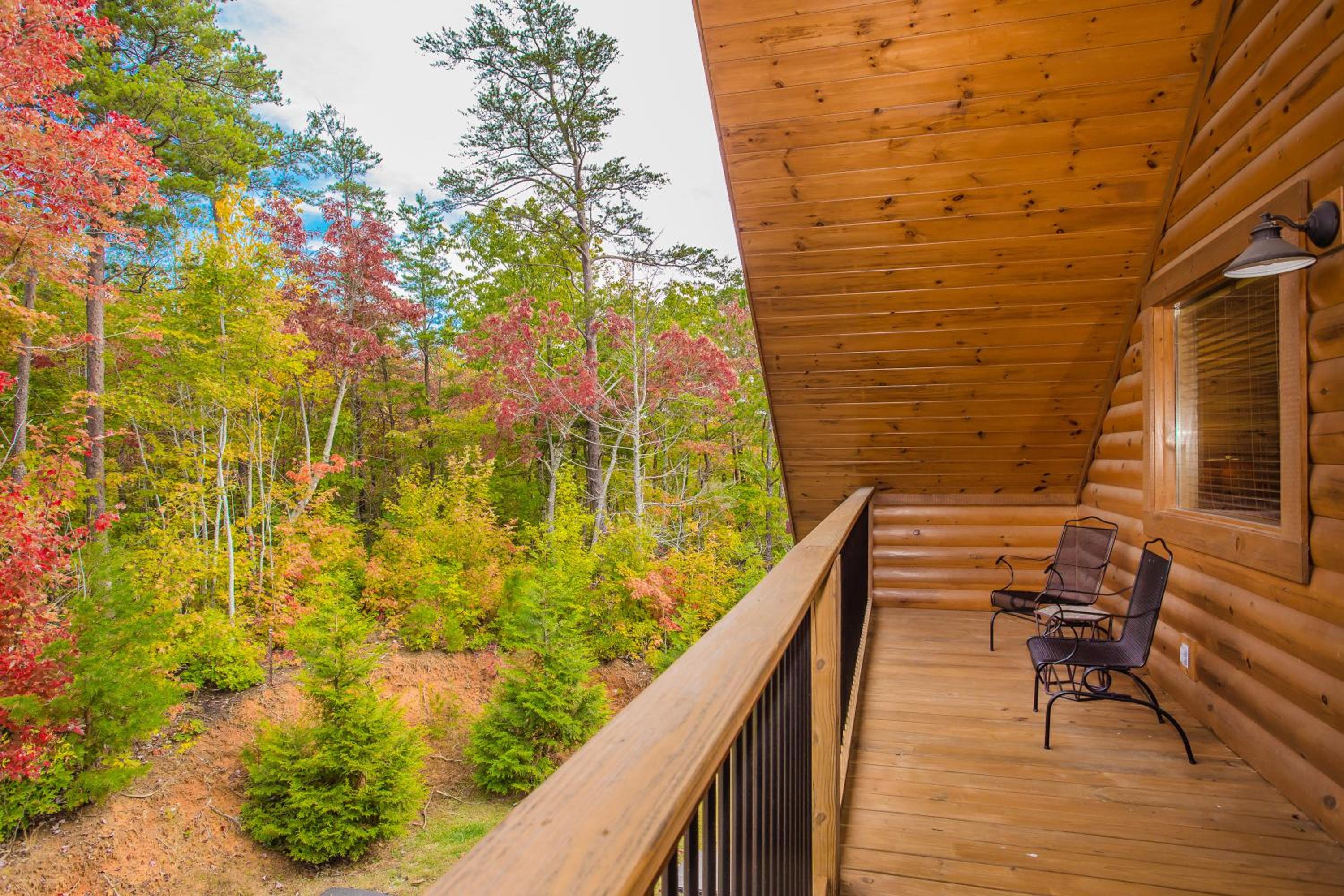 Star Dancer Cabin view 2