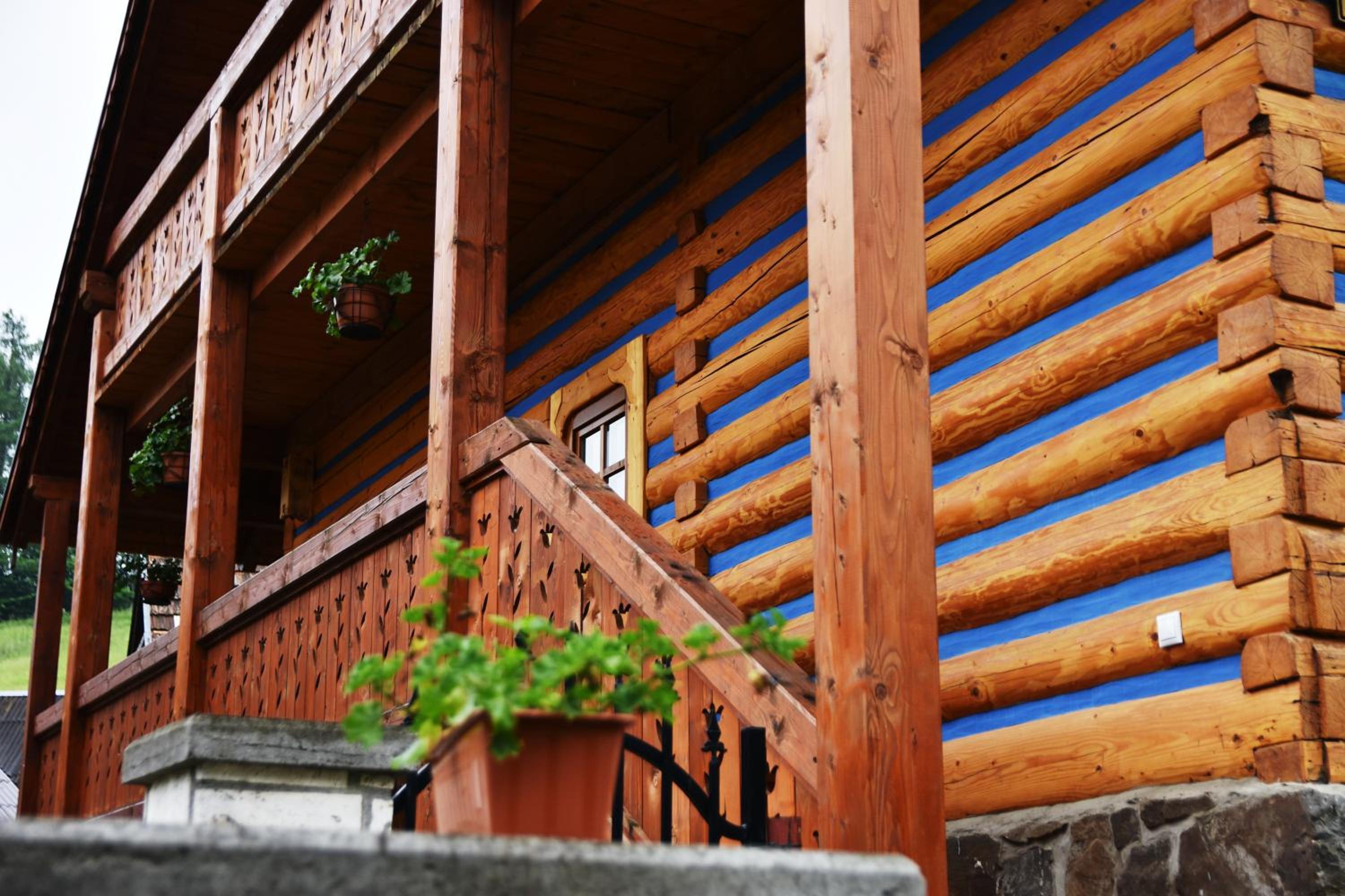 Photo 6