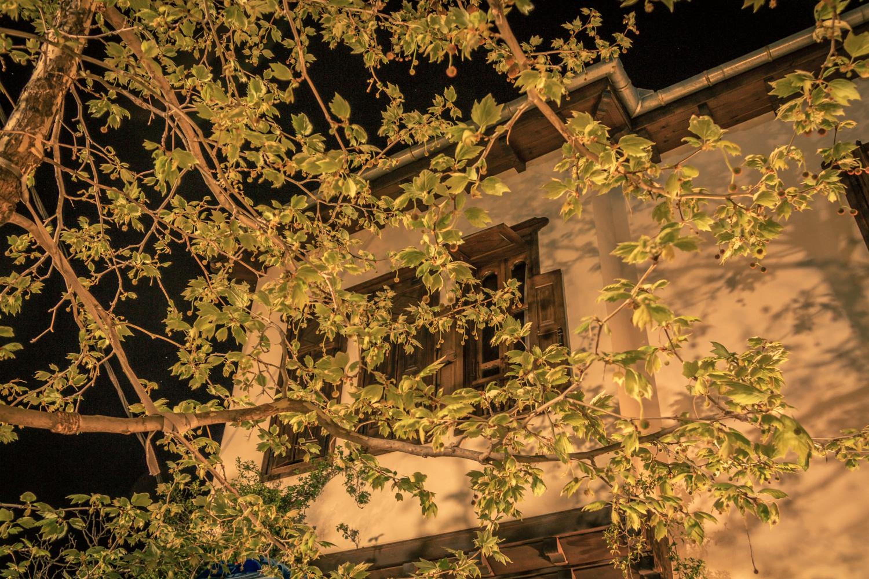 Hotel Villa Virginaki