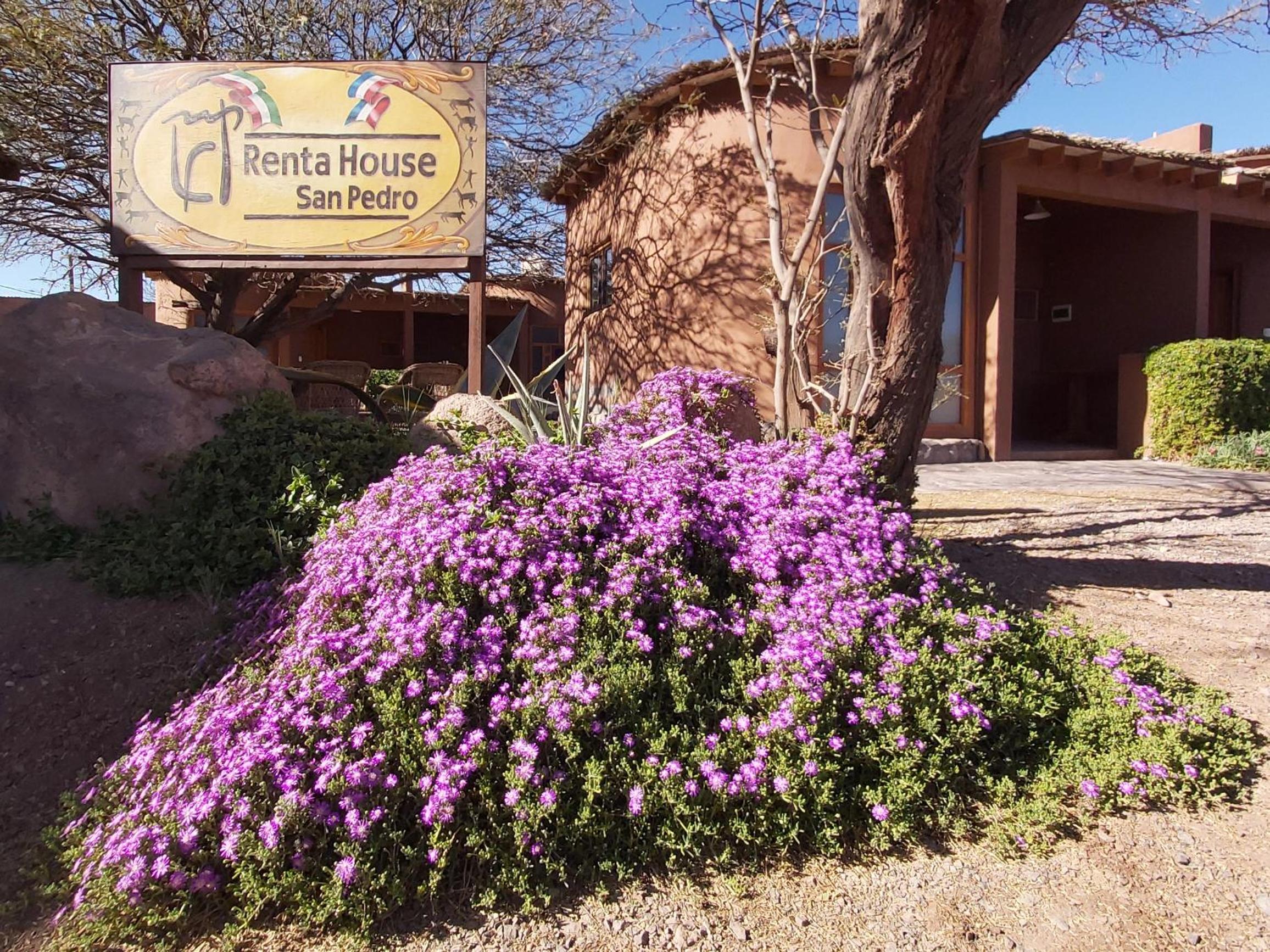 Hostal y Cabañas Renta House San Pedro