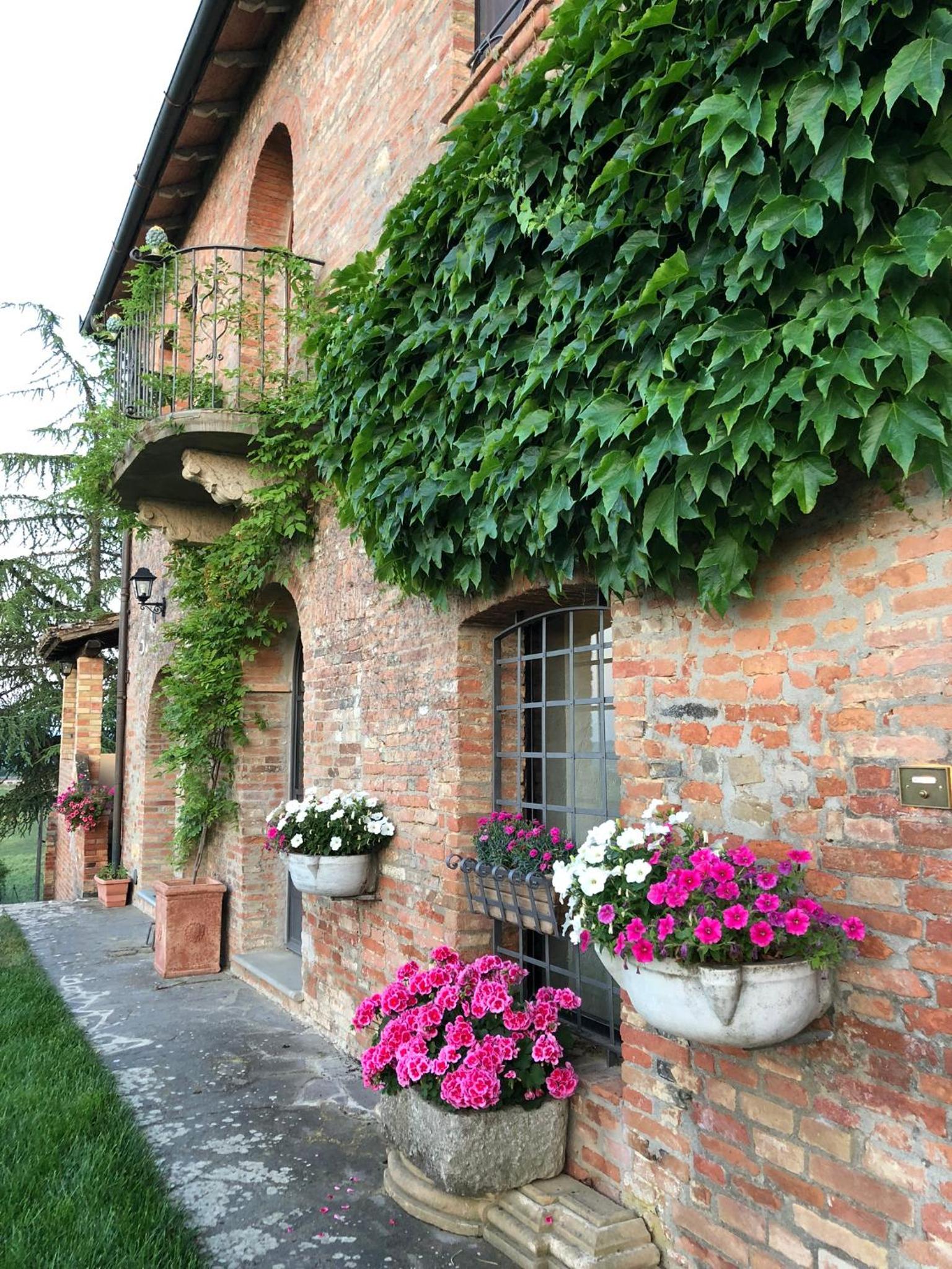 Agriturismo Macciangrosso Casale Piccolomini view 4