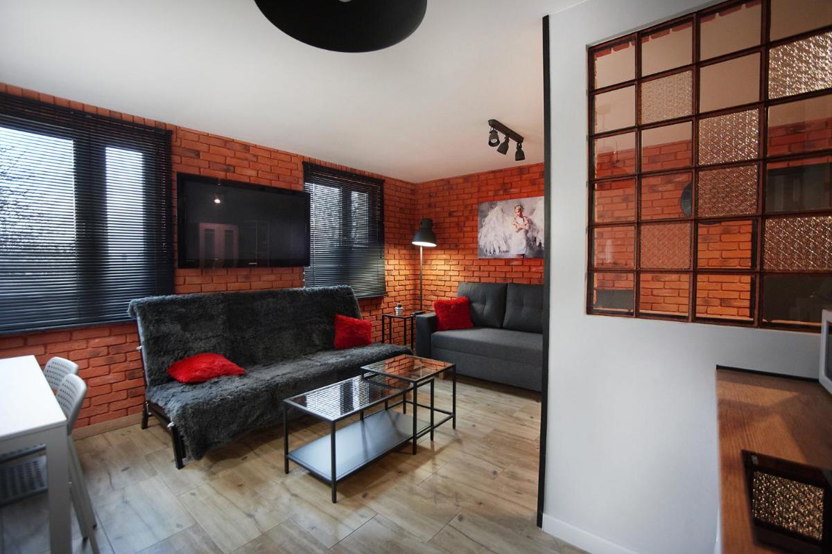 Apartament Zdrojowy view 5
