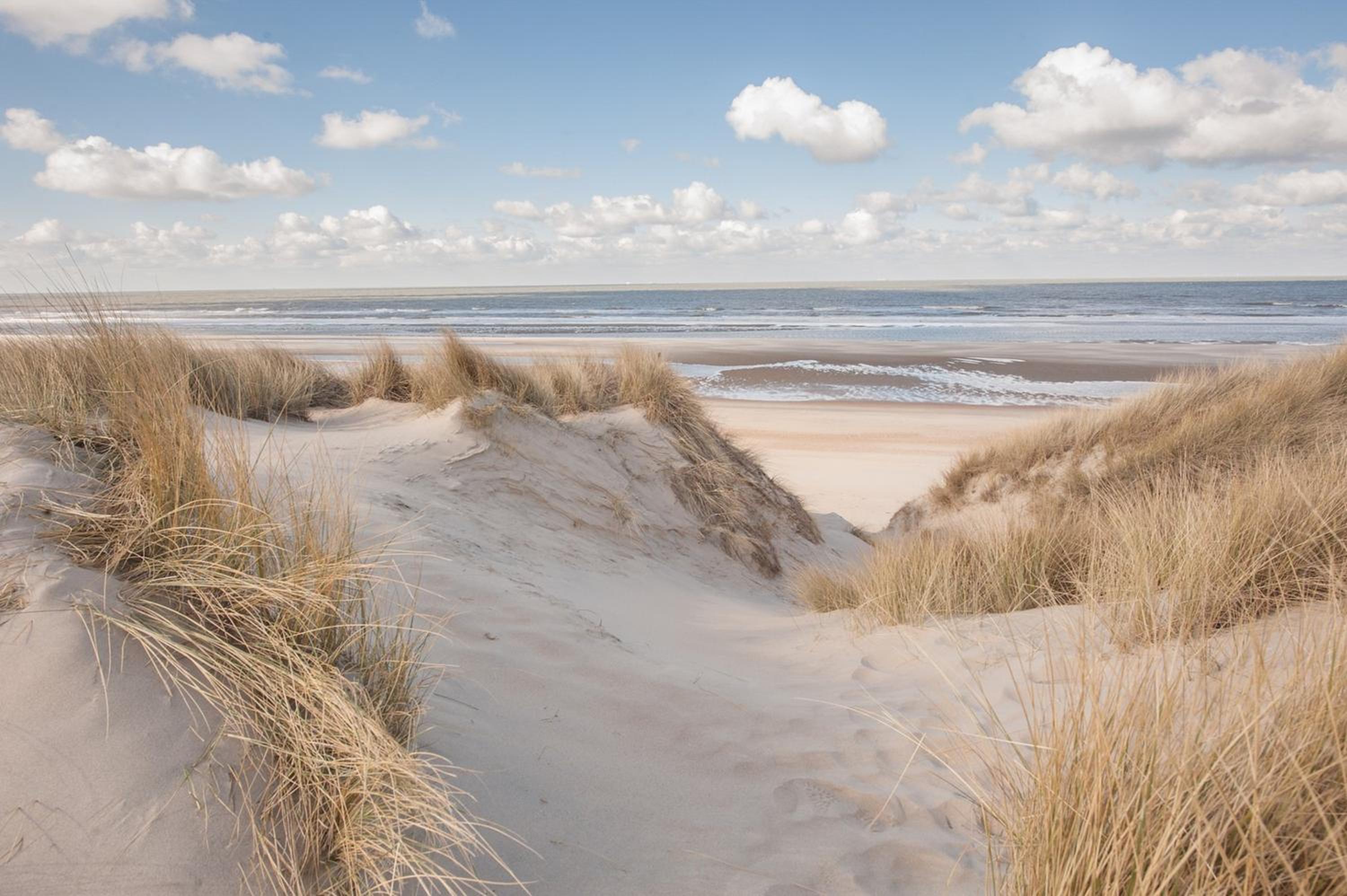 Strandvakantieappartement Zilverstrand - met binnenzwembad! view 4