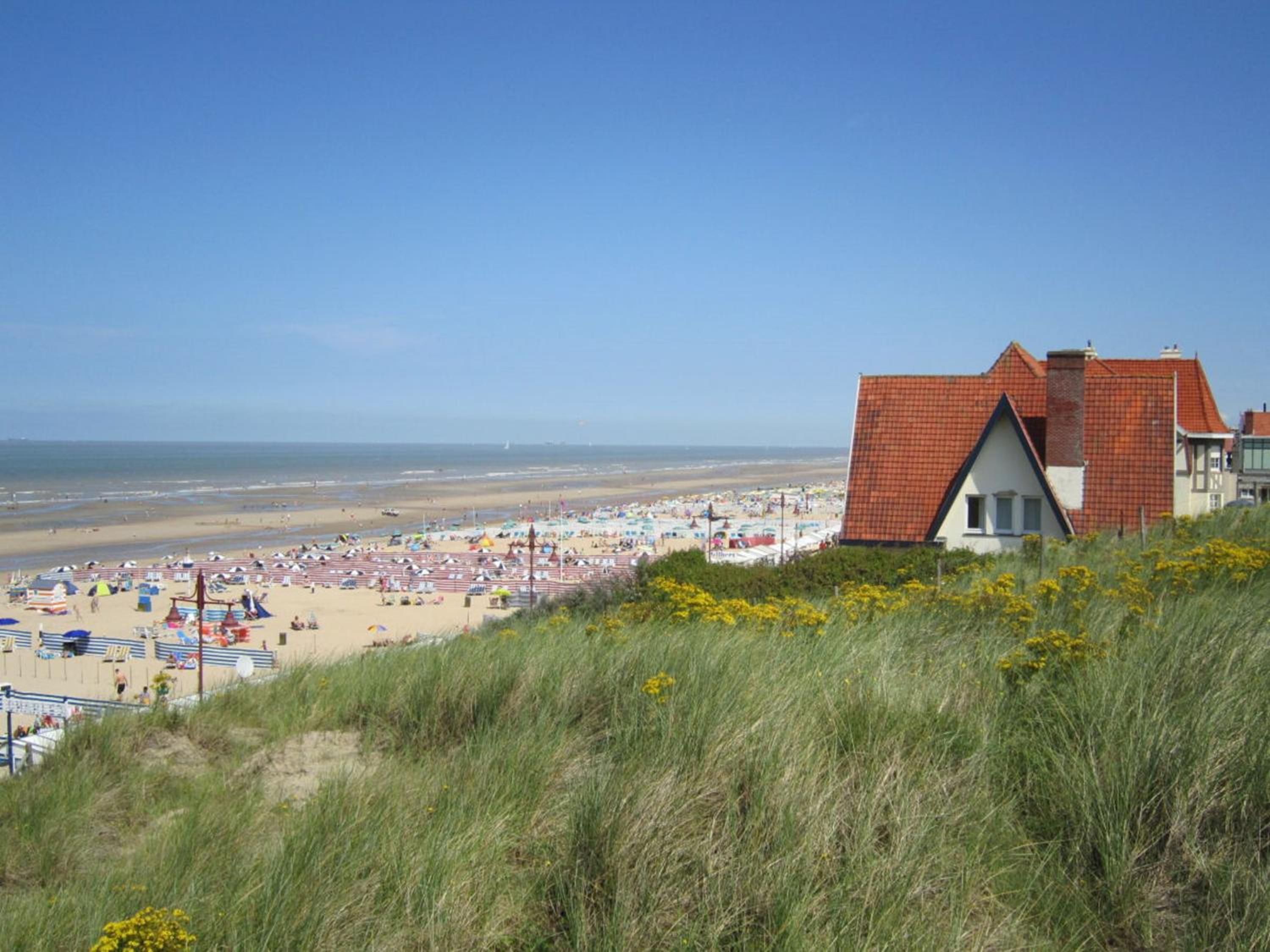 Strandvakantieappartement Zilverstrand - met binnenzwembad! view 3