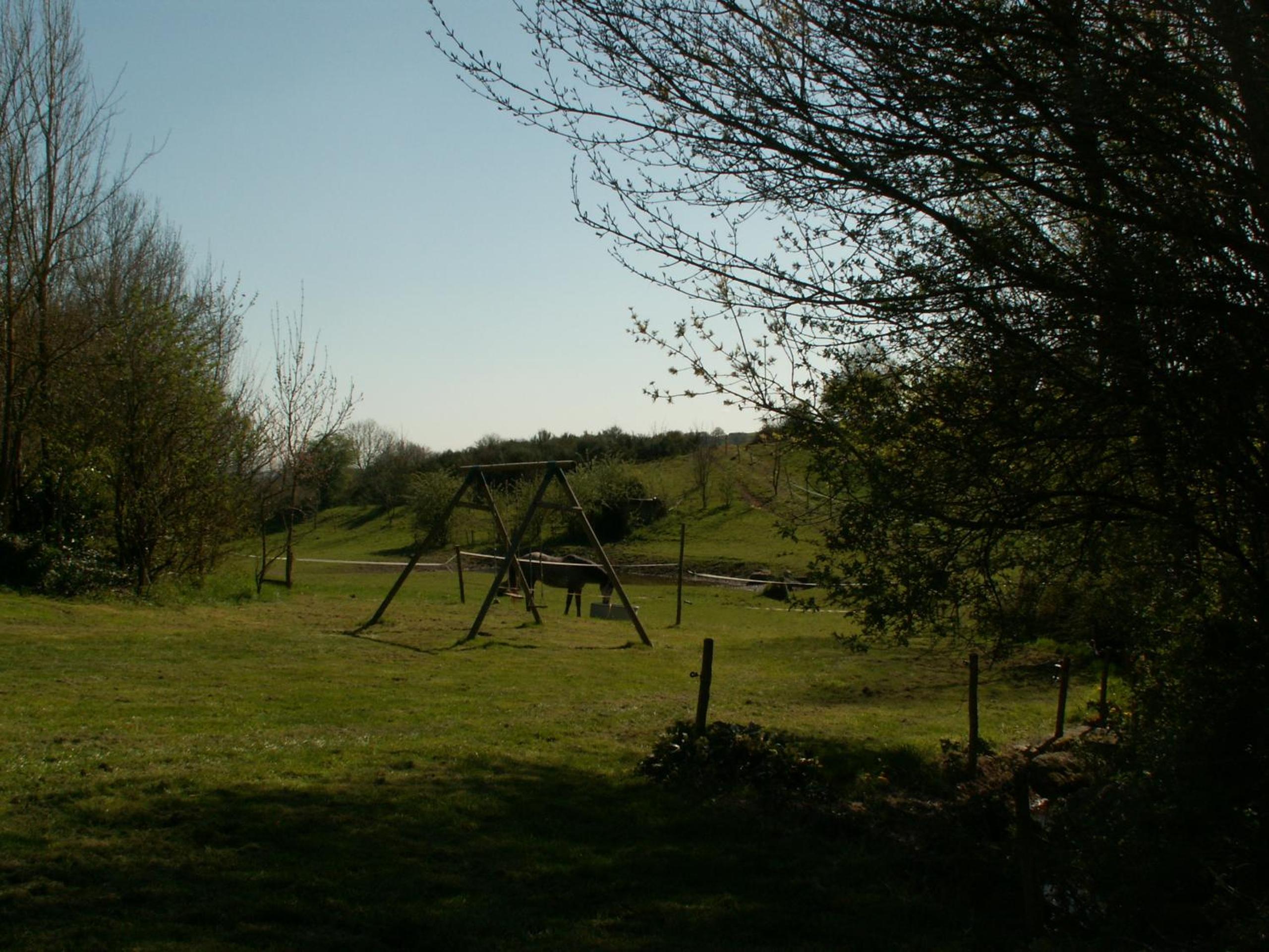 Photo 10