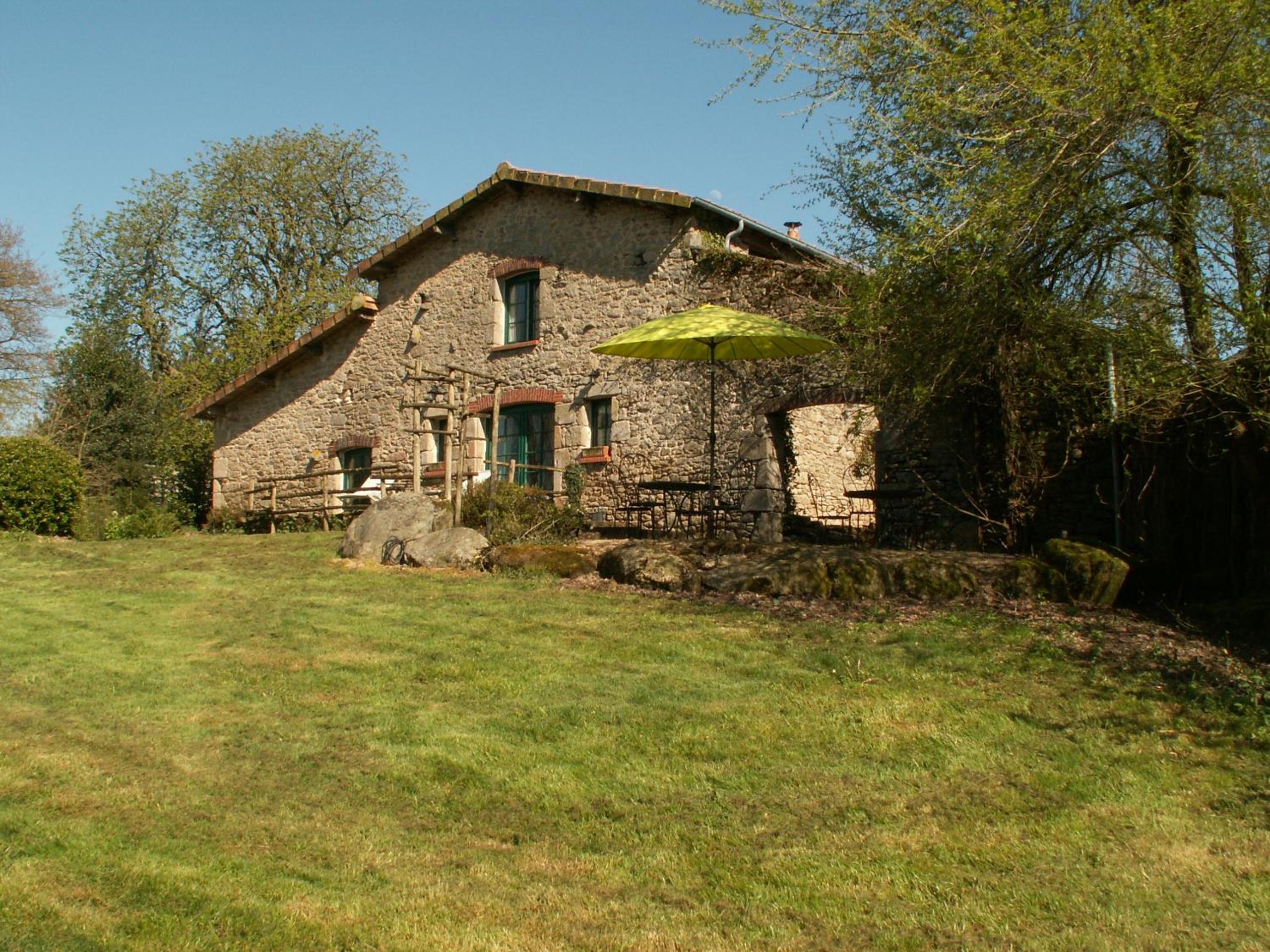 Photo 11