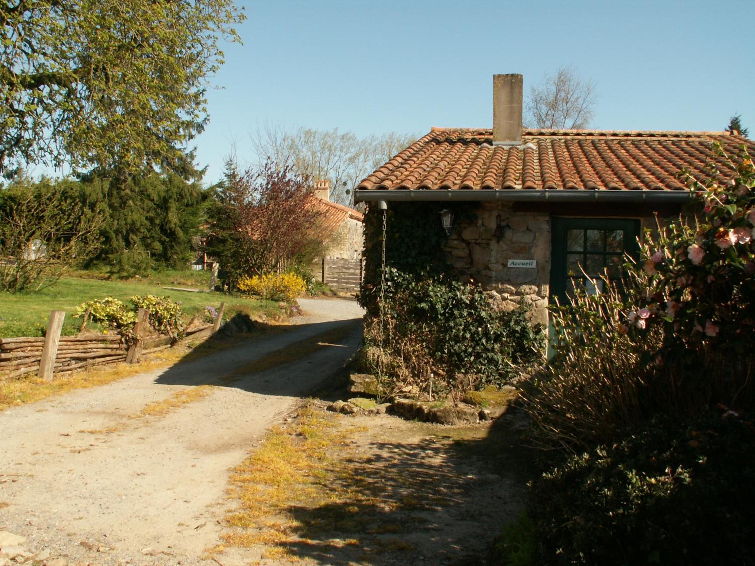 Photo 8