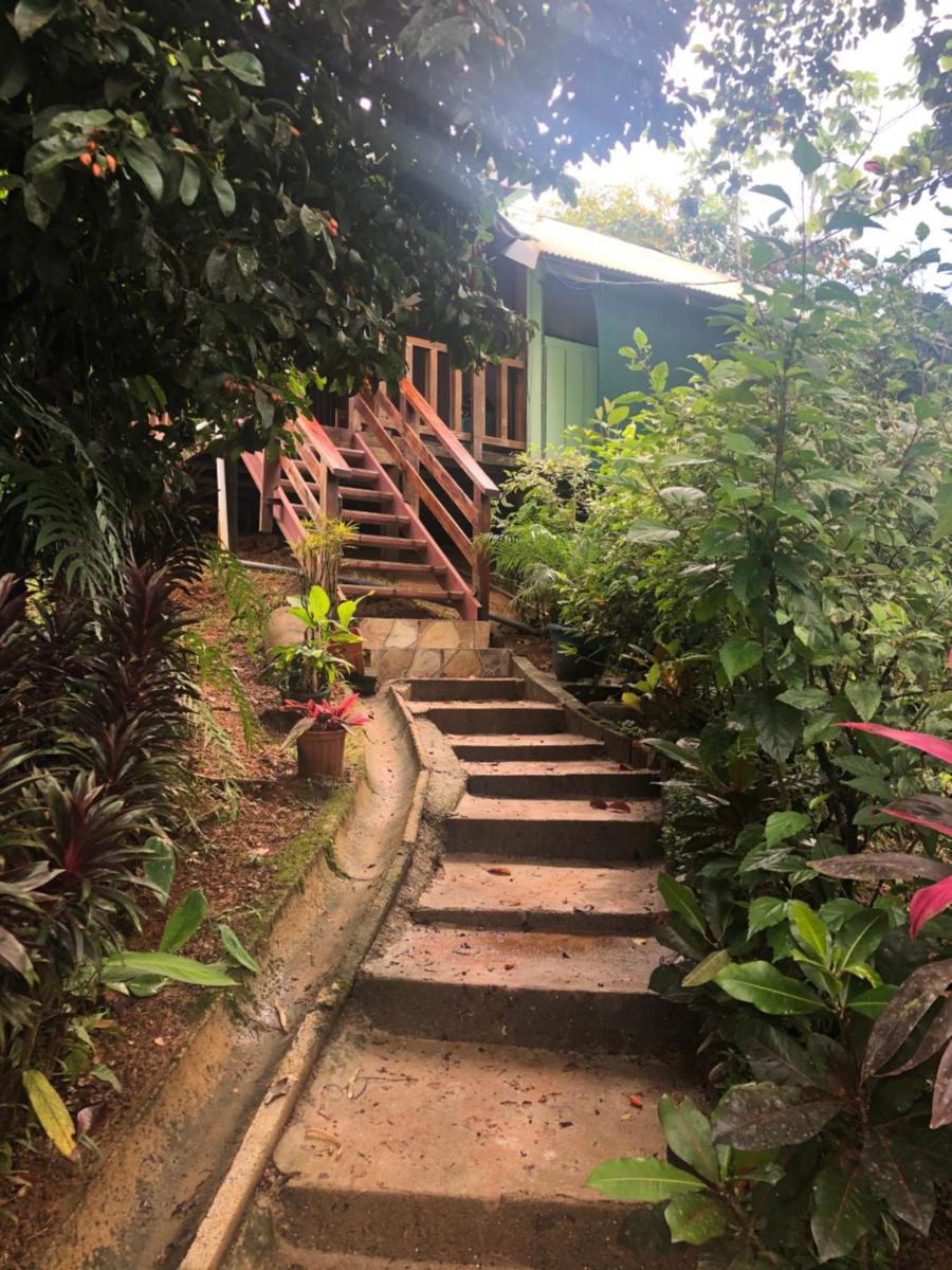 Cabaña Ara Macao Lodge