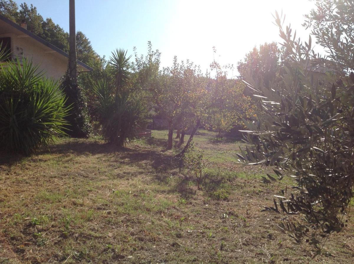 Photo 32