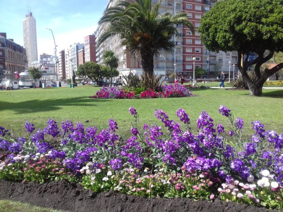 DEPARTAMENTO EN PLAZA COLON, 200 MTS DE LA PLAYA