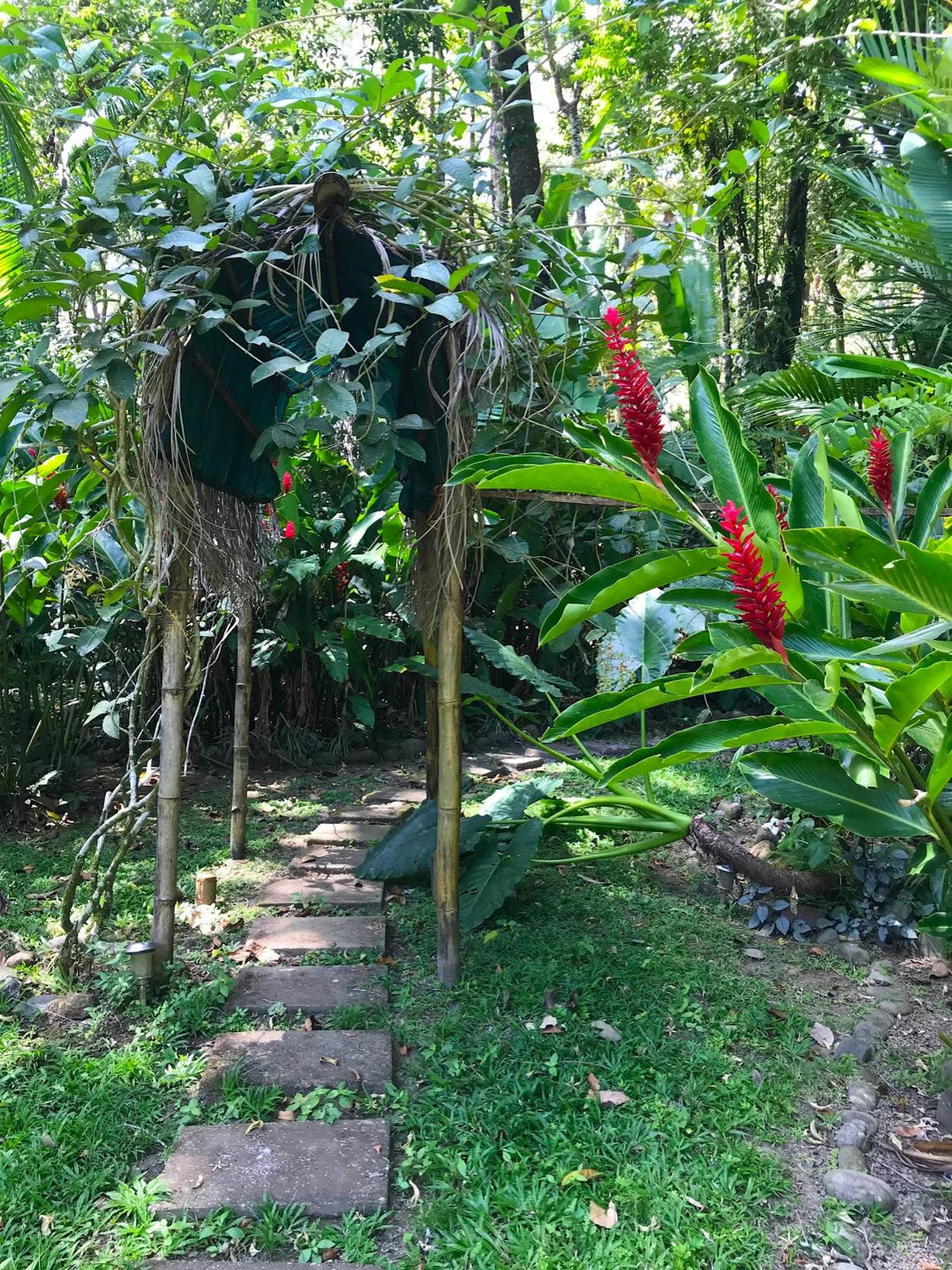 Zen Villa 1 - Three bedroom Luxury Villa with Private Garden -Playa Chiquita