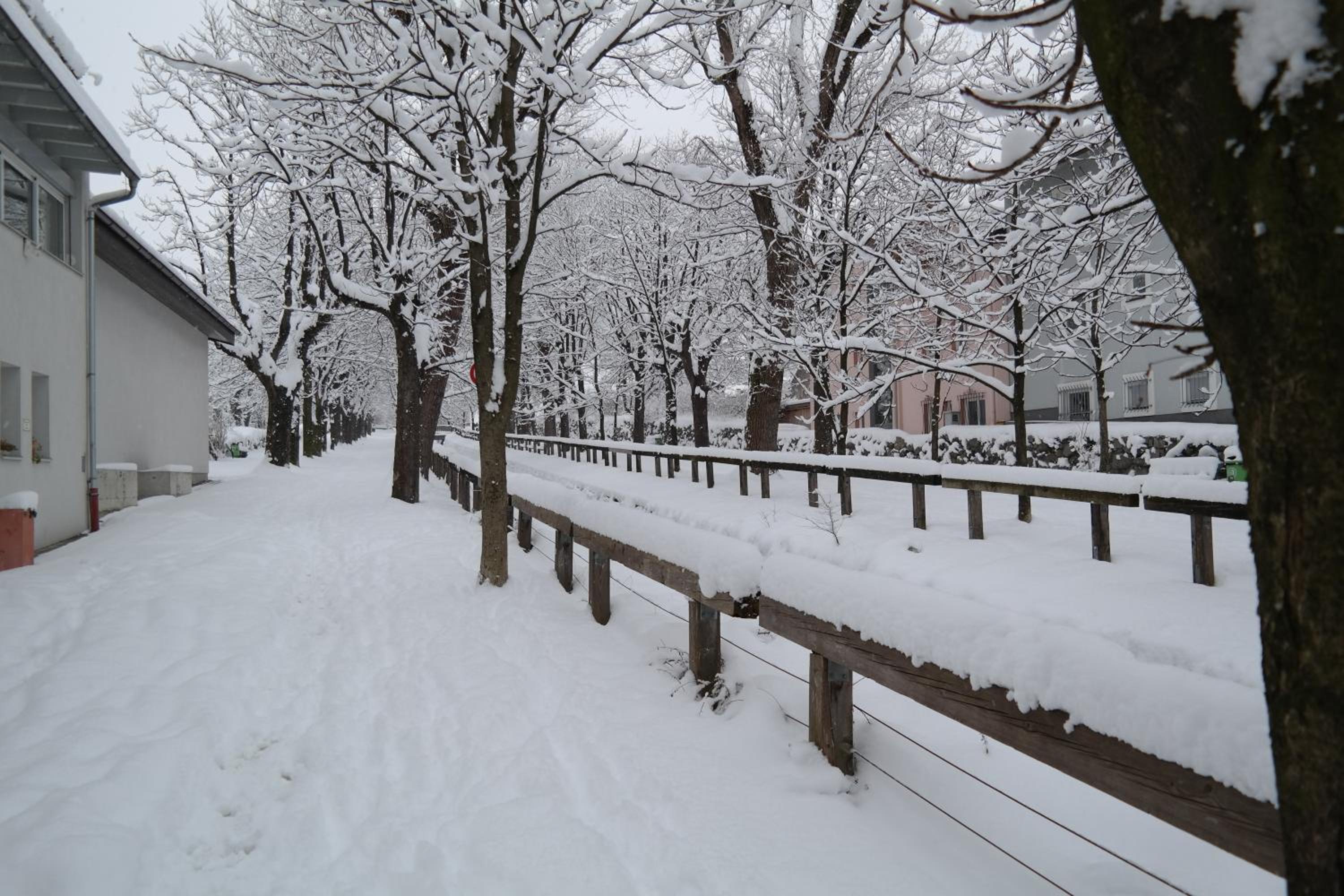 Photo 42