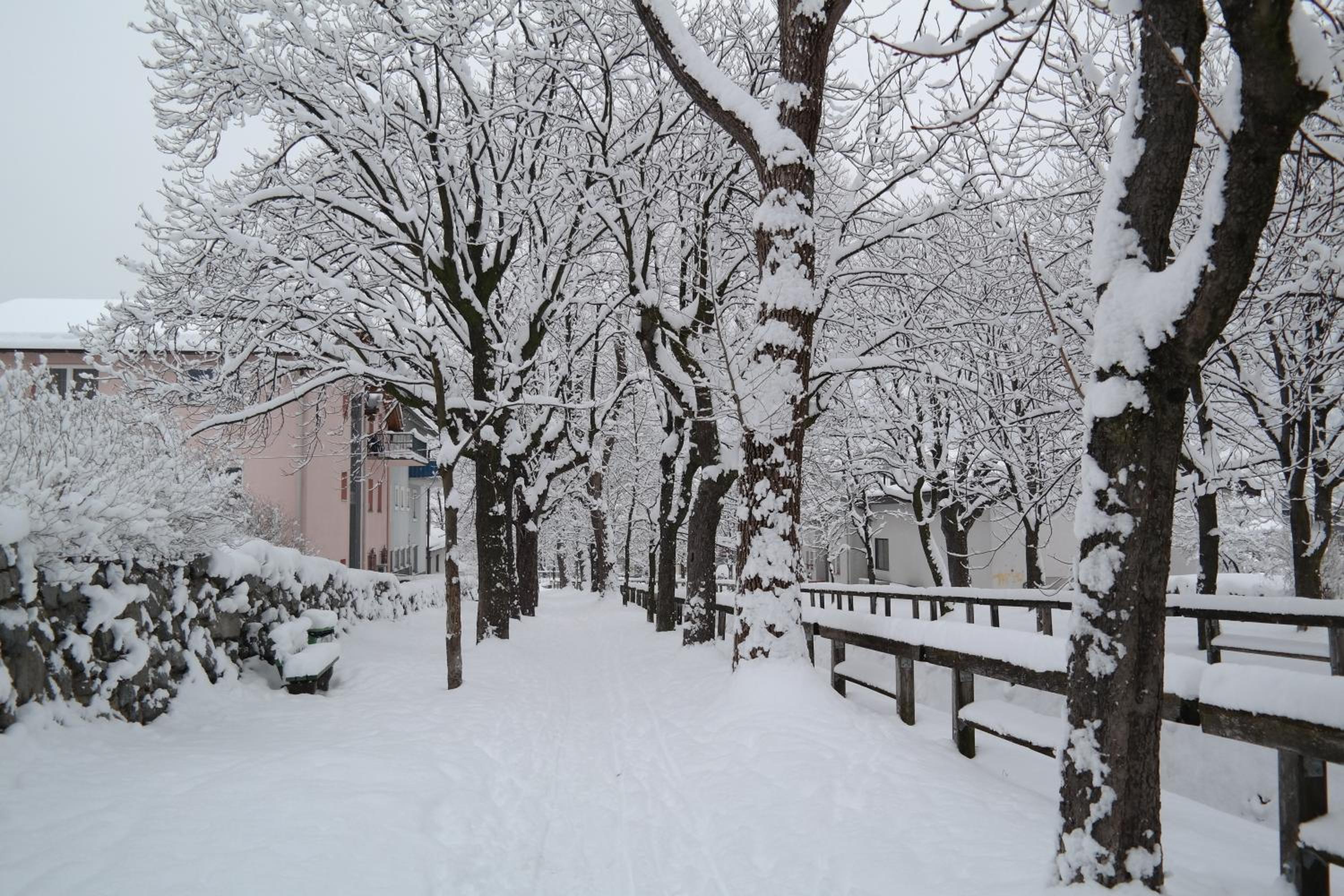 Photo 46