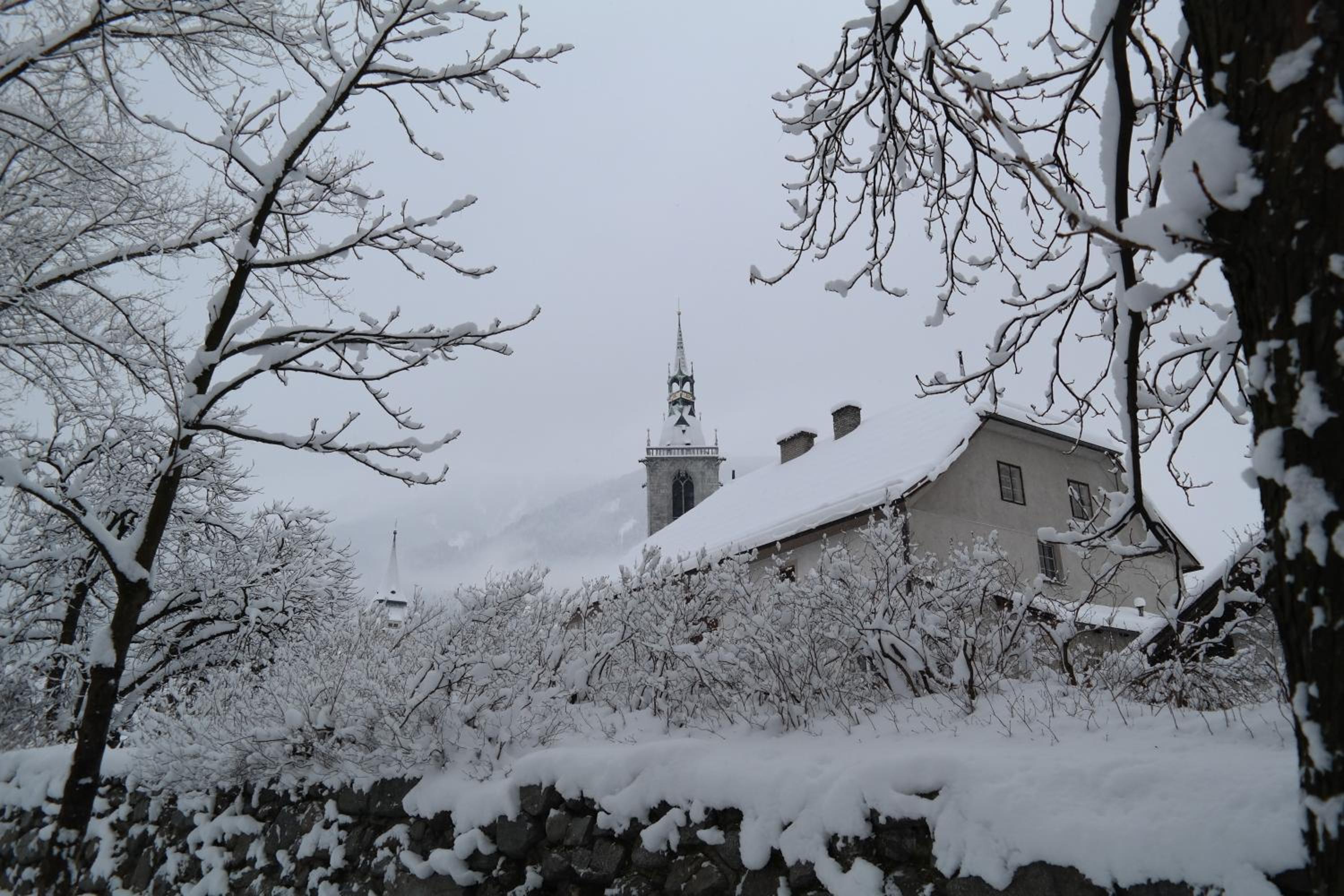 Photo 47