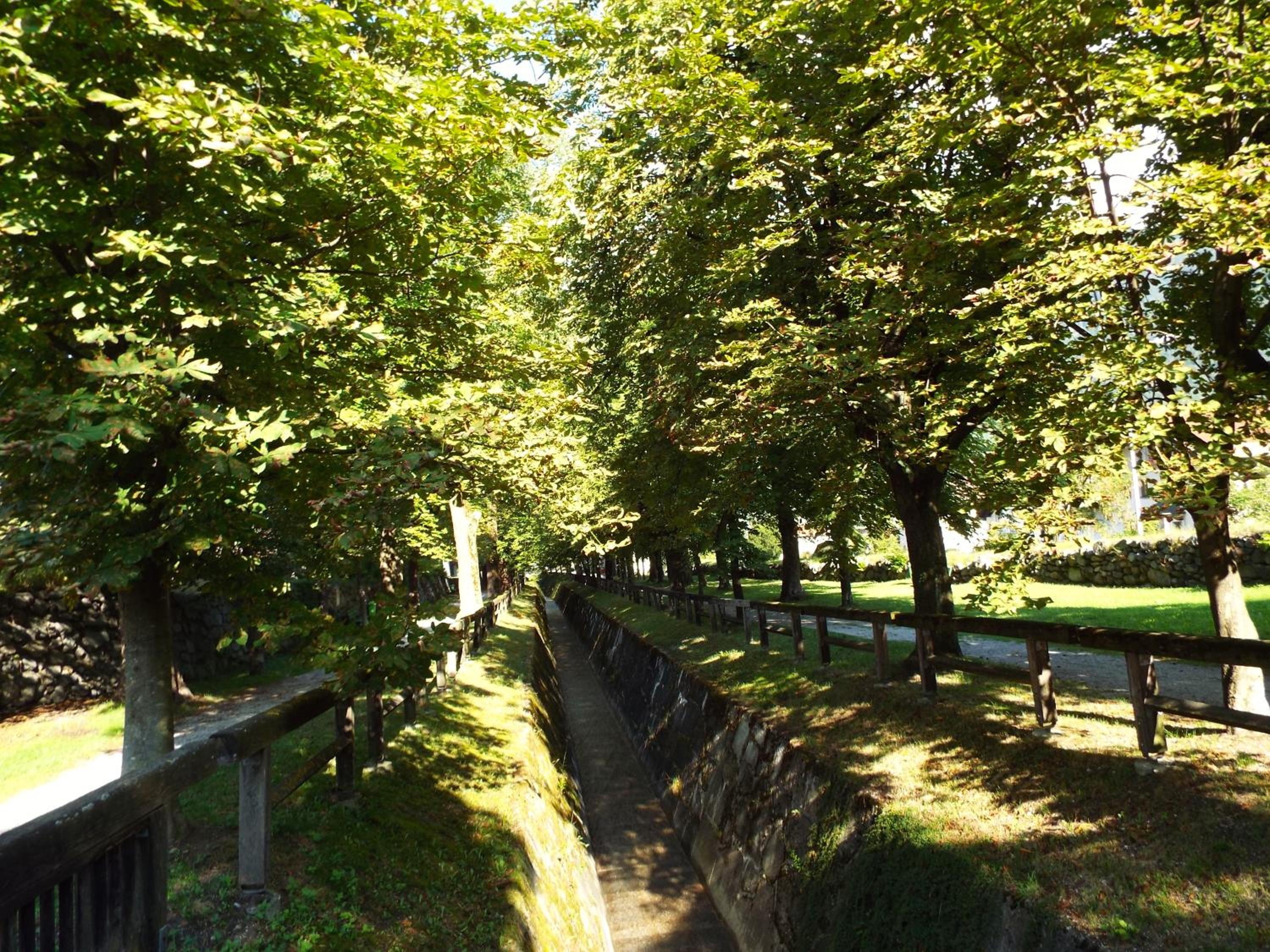 Photo 39