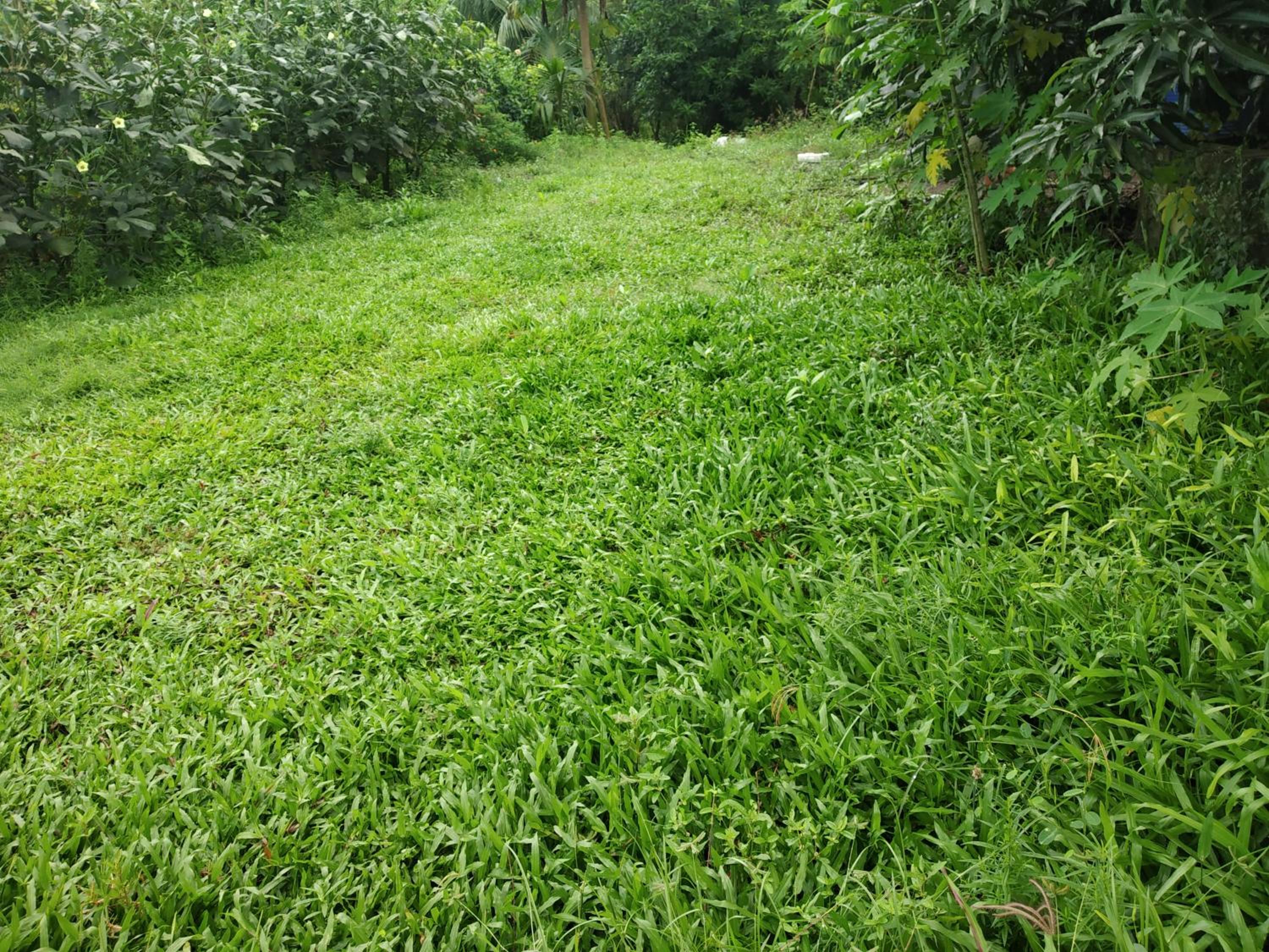 Photo 48