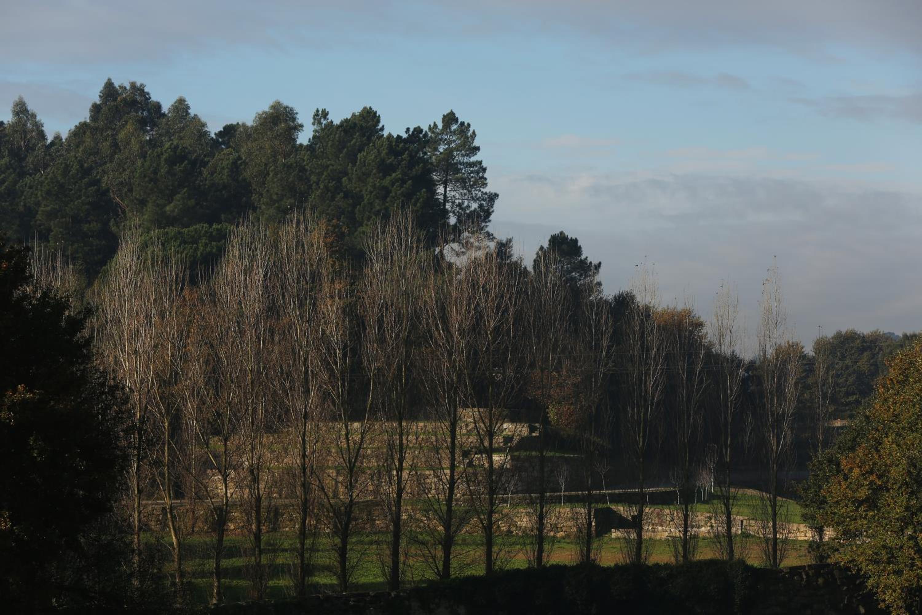 Solar Egas Moniz-Charming House & Local Experiences