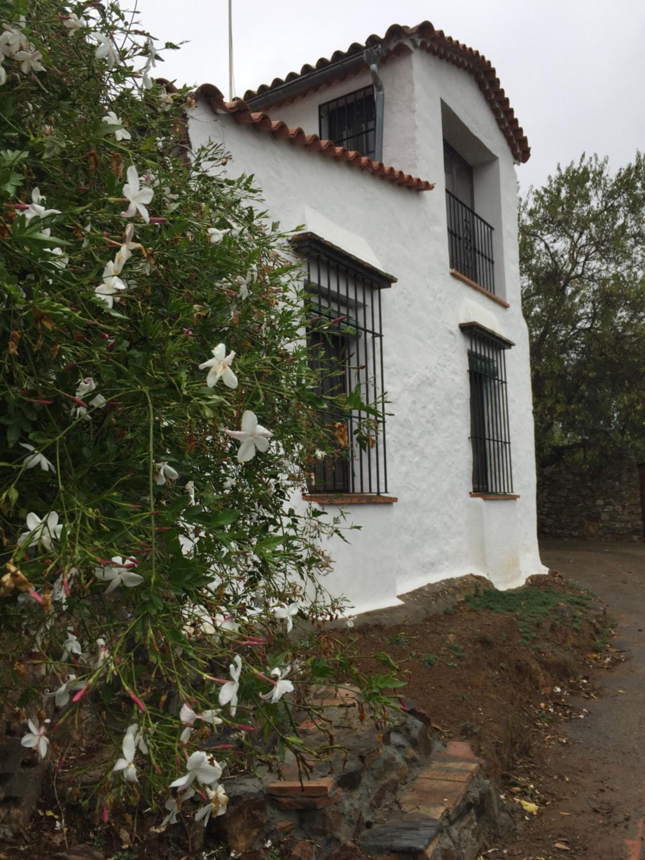 El Lucero photo 2