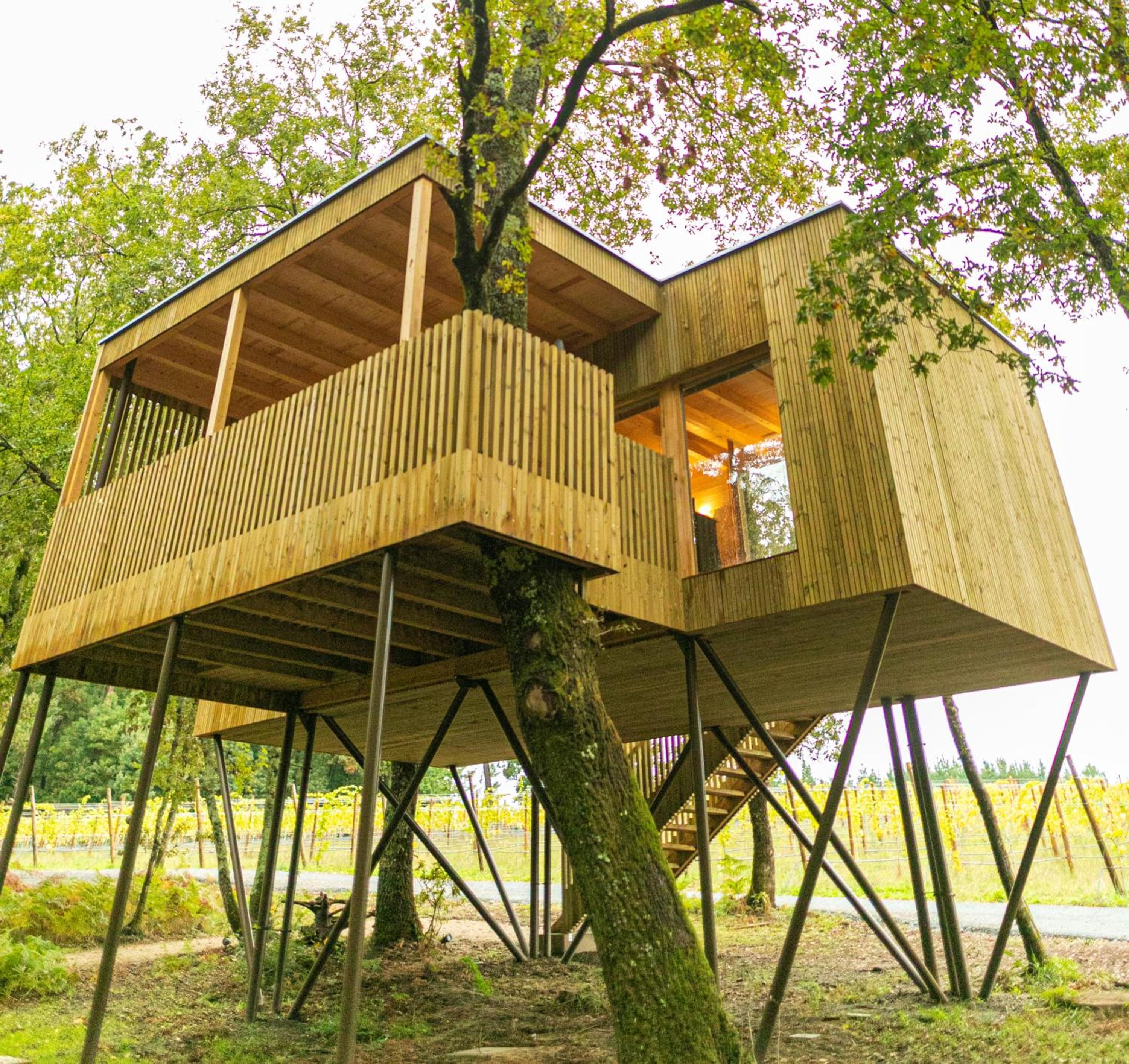 Hotel Cabañas Enoturismo María Manuela