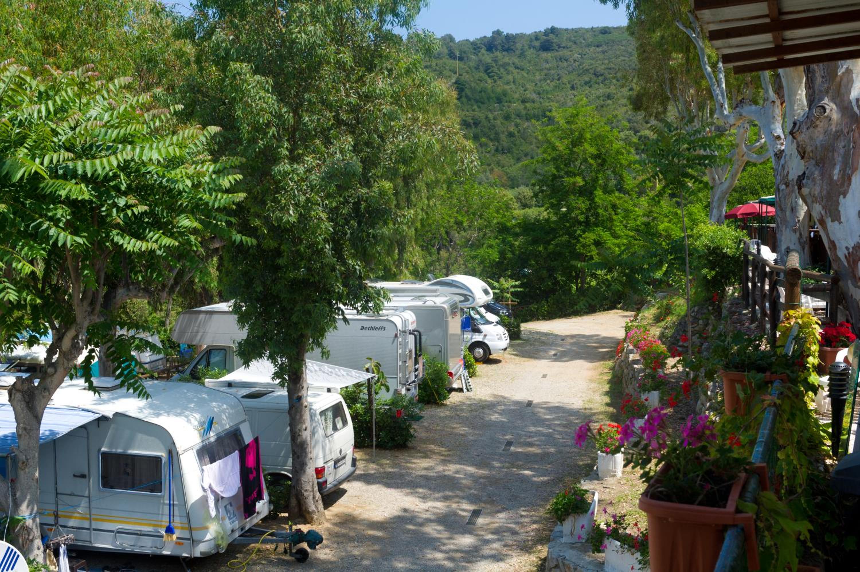 parking