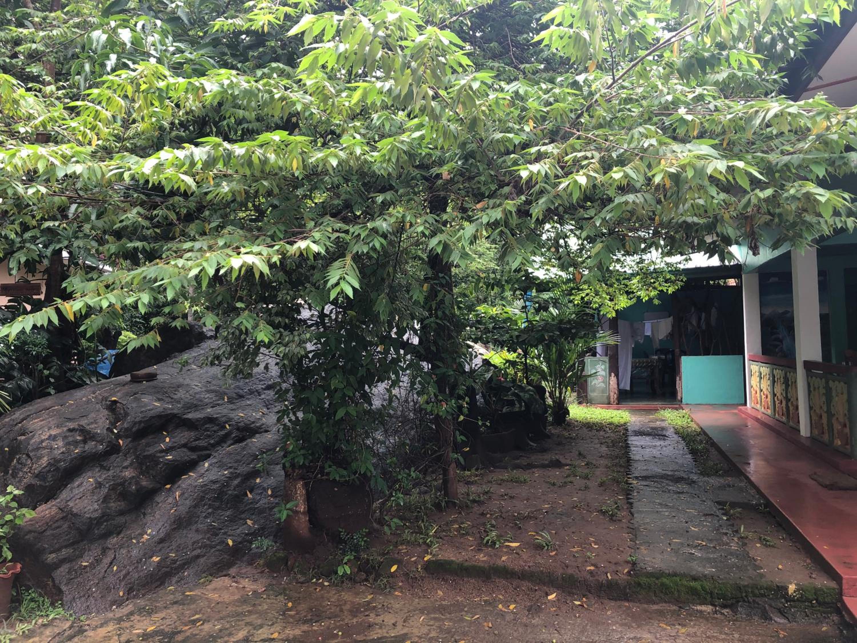 Photo 27