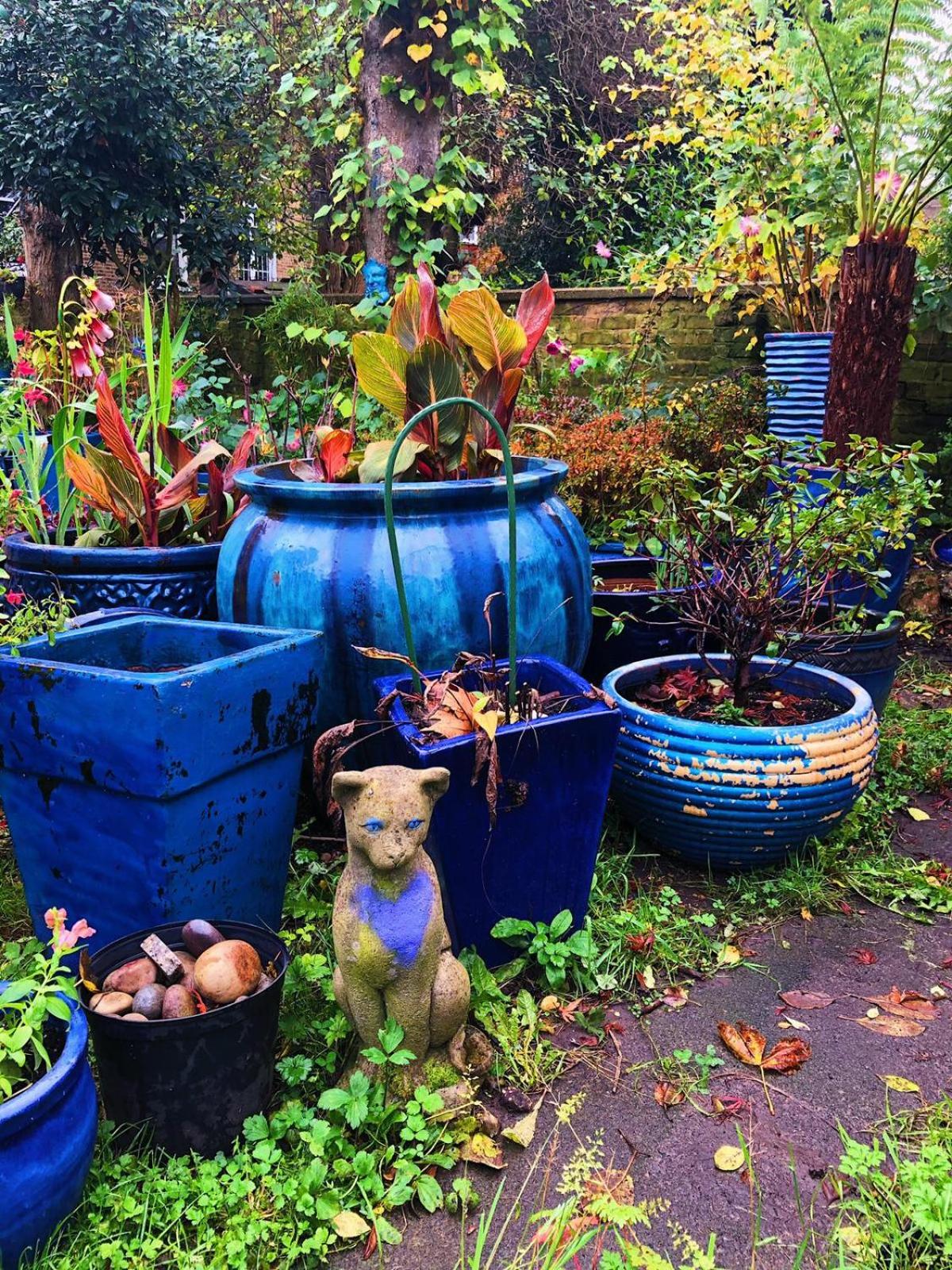 garden