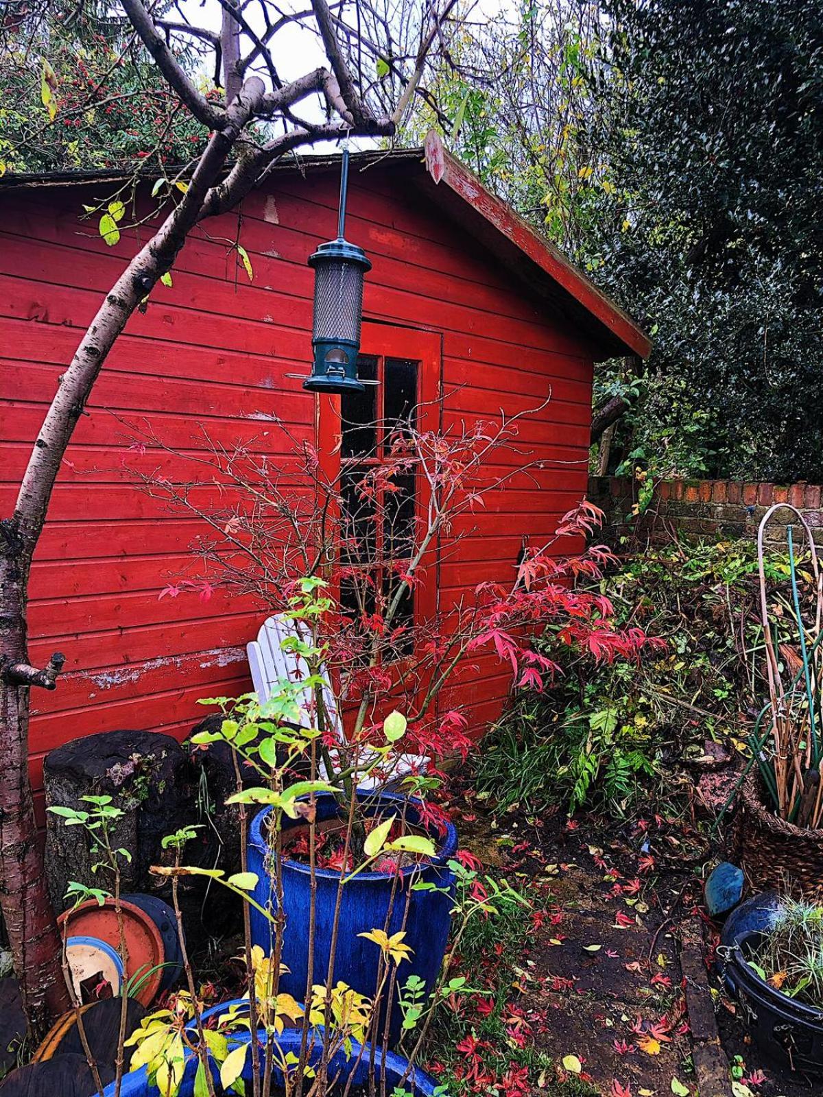 garden