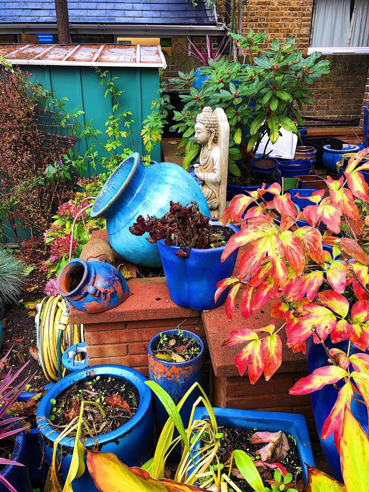 garden