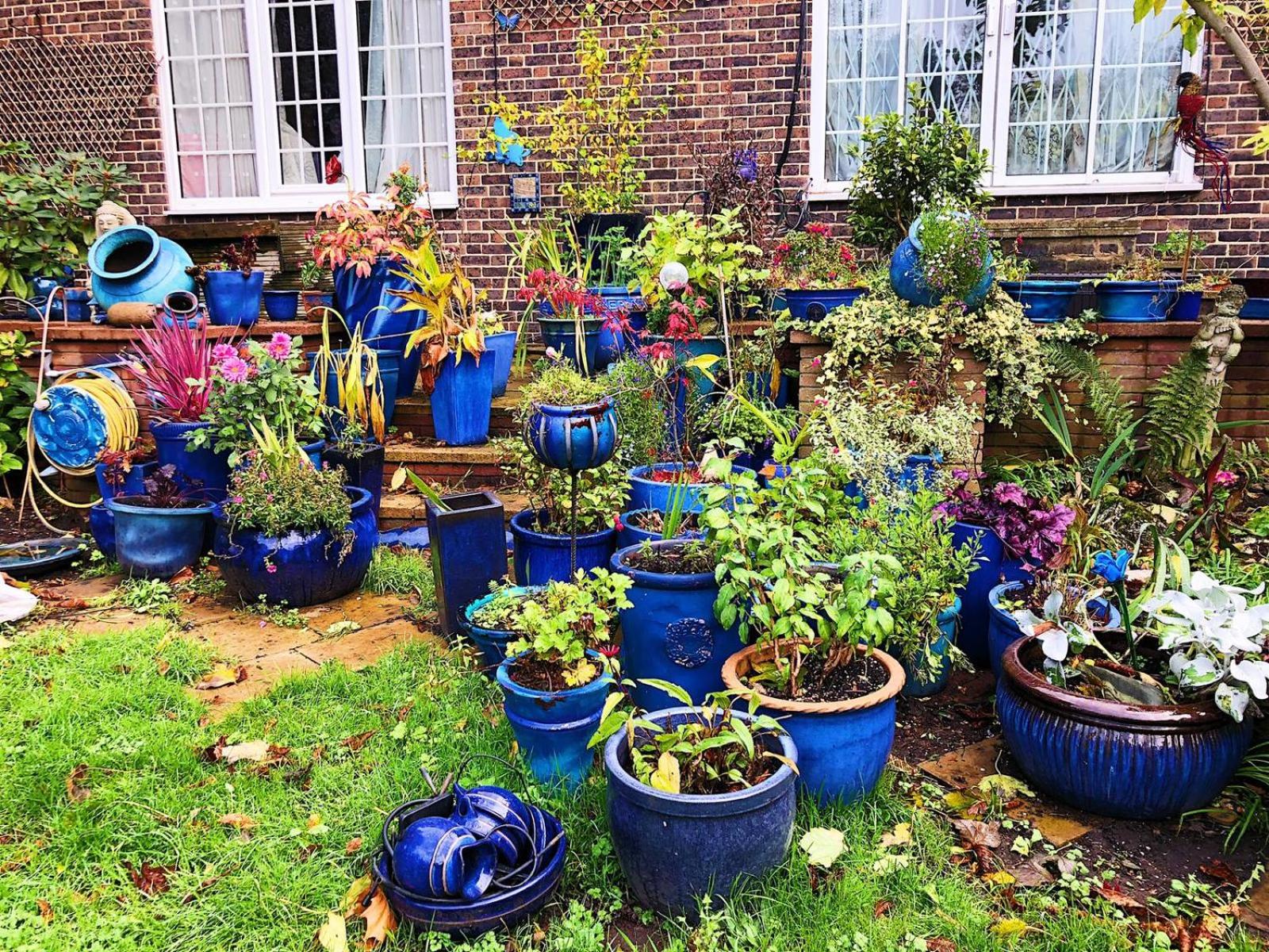 garden