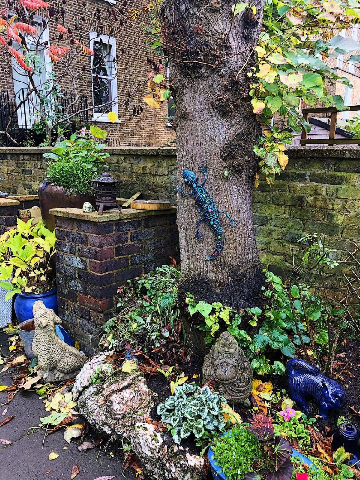 garden