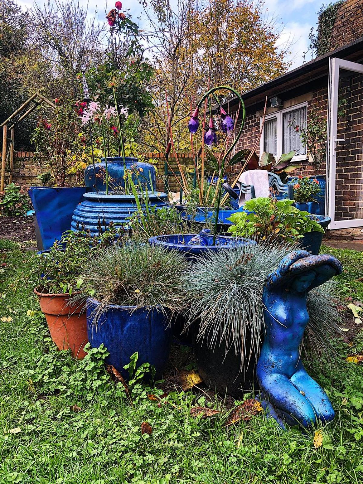 garden
