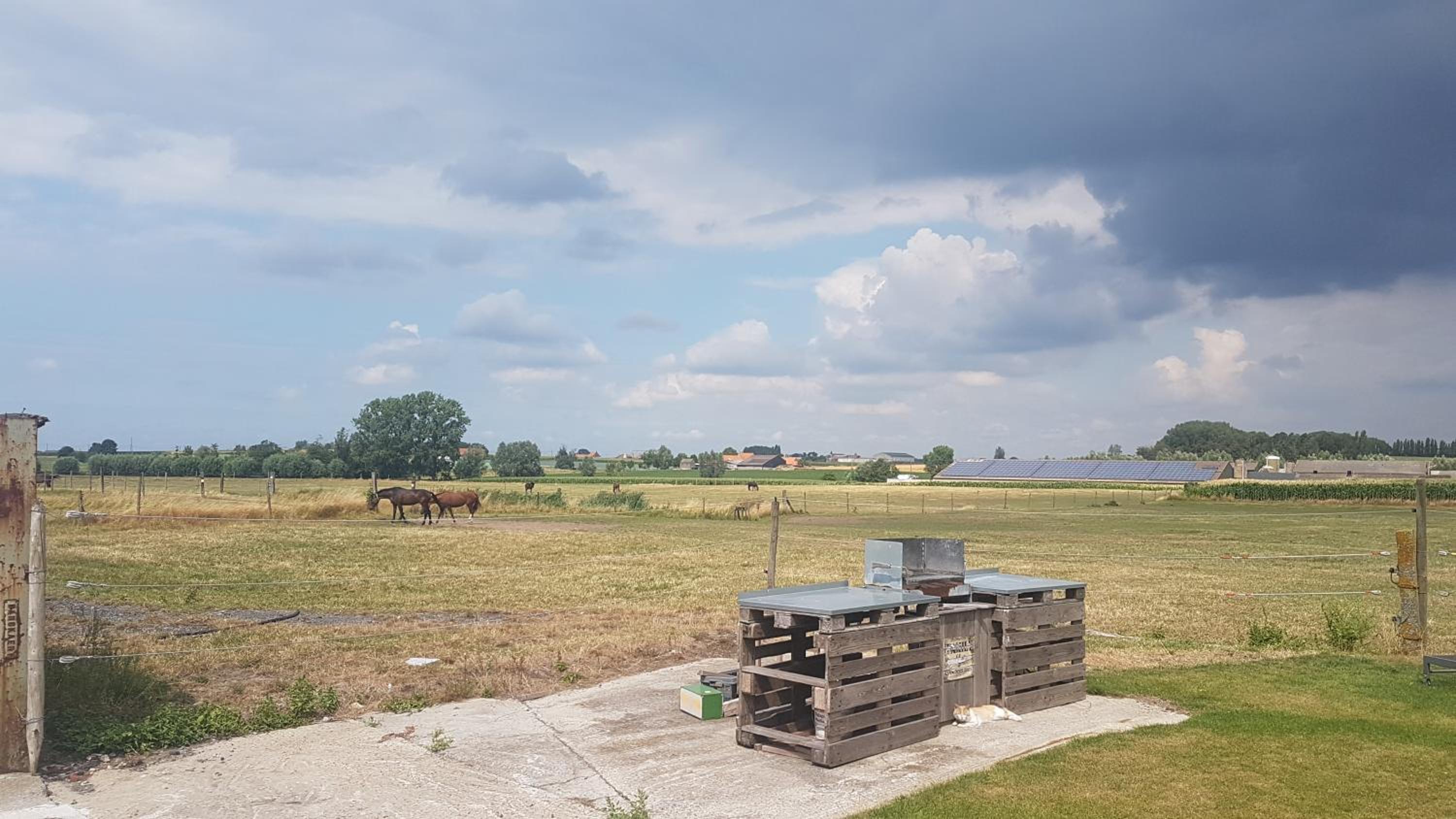 De Ast by De Oude Kaasmakerij